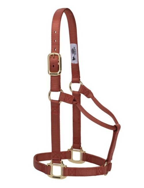 Weaver Org  Non Adj 1In Nylon Halter Large Horse Cinnamon