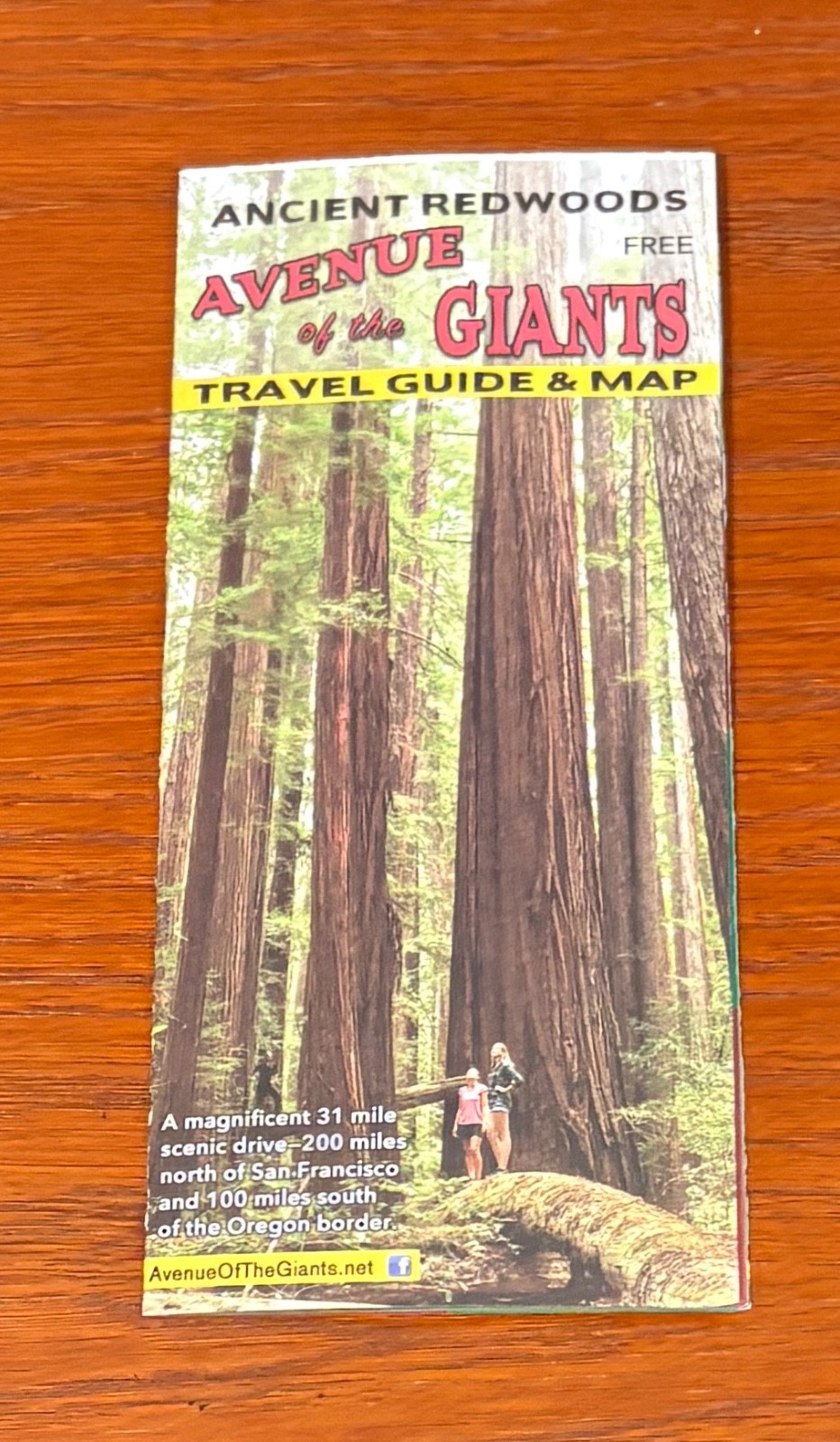 Ancient Redwoods Visitor Guide, California, Avenue Of The Giants