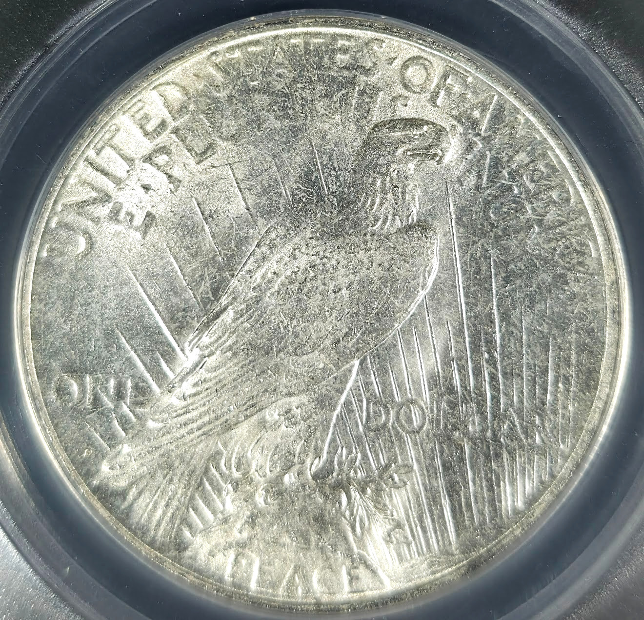 1923-D PEACE SILVER DOLLAR $1 ANACS MS61 UNCIRCULATED NICE DETAILS & LUSTER D313