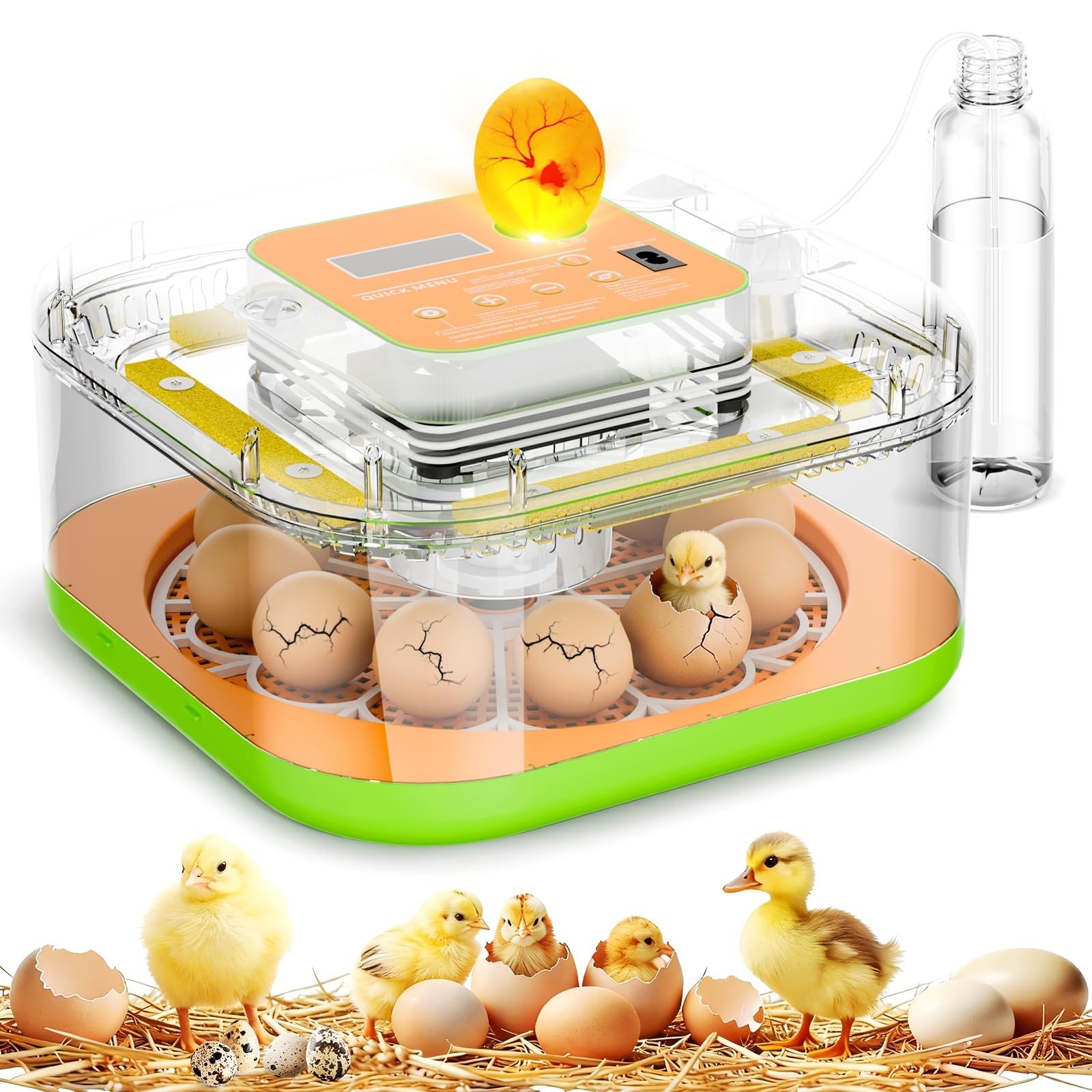 Incubator for Hatching Eggs, Temperature and Humidity Control, Automatic and ...
