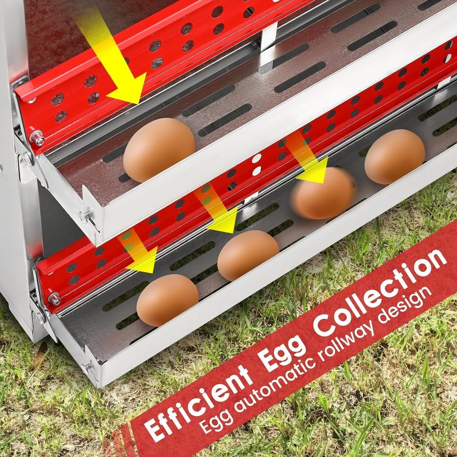 10 Hole Chicken Nesting Boxes Chicken Egg Laying Box with Rollout Egg Collection