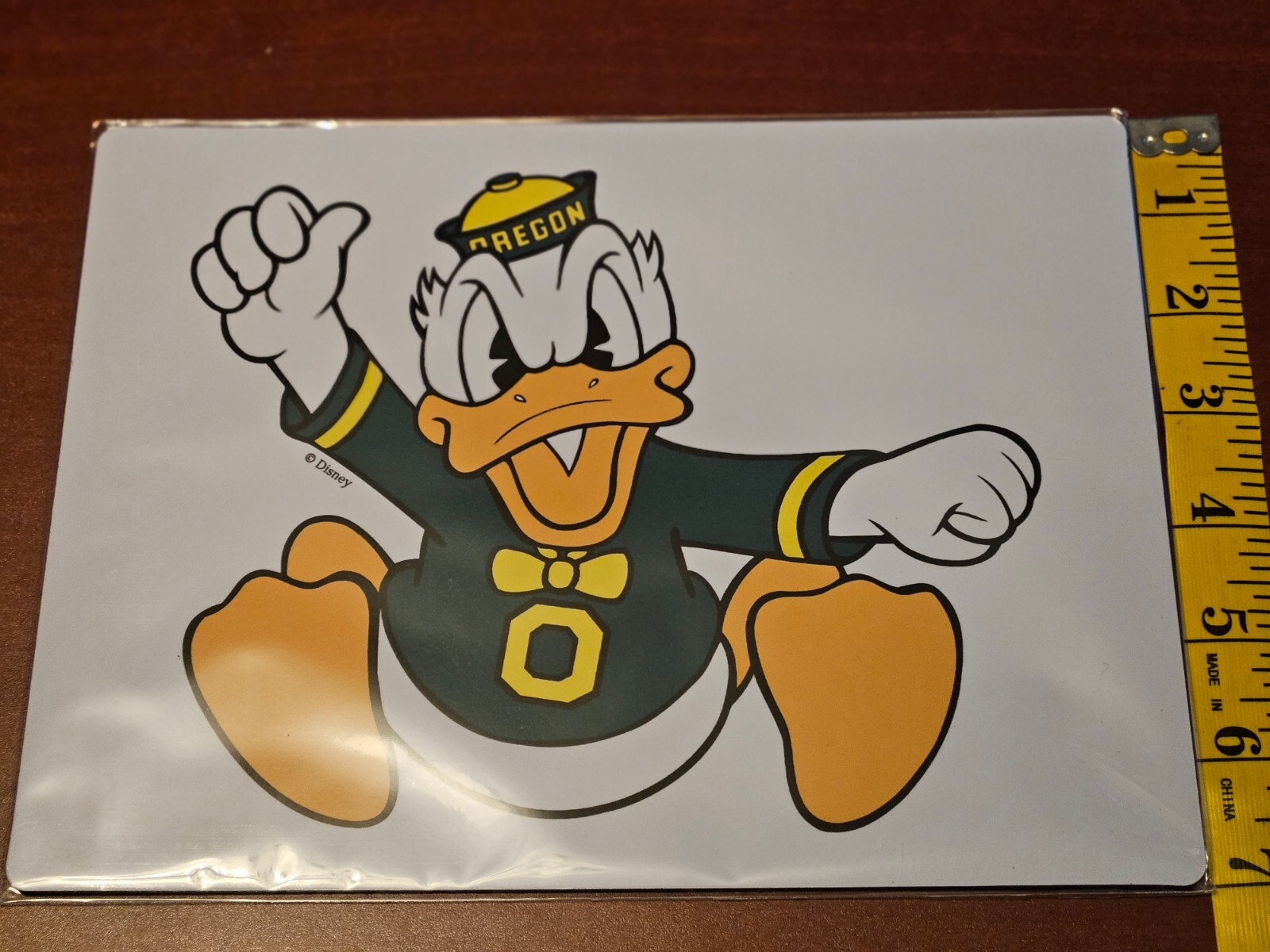Oregon Ducks Big 9" Logo Car Magnet FREE Shipping