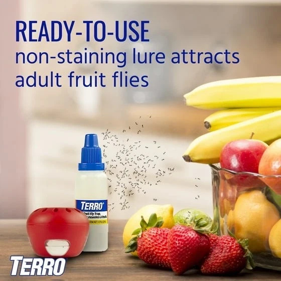 Indoor Fruit Fly Trap, (2-count) , Terro Traps, In Built With Window Sinks...