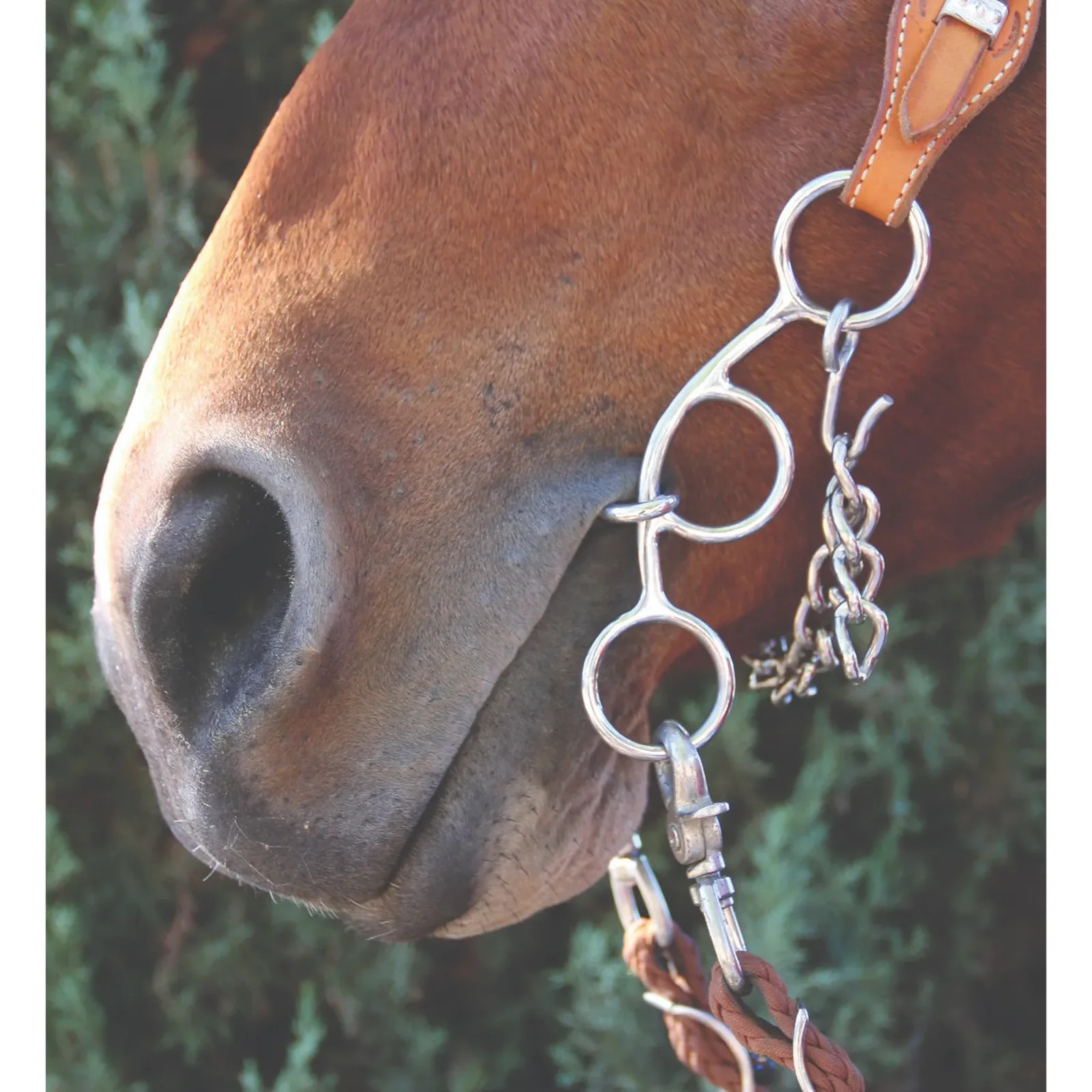 Professional's Choice Futurity Bit Snaffle - 5.5 Inch Mouthpiece with Short Gag