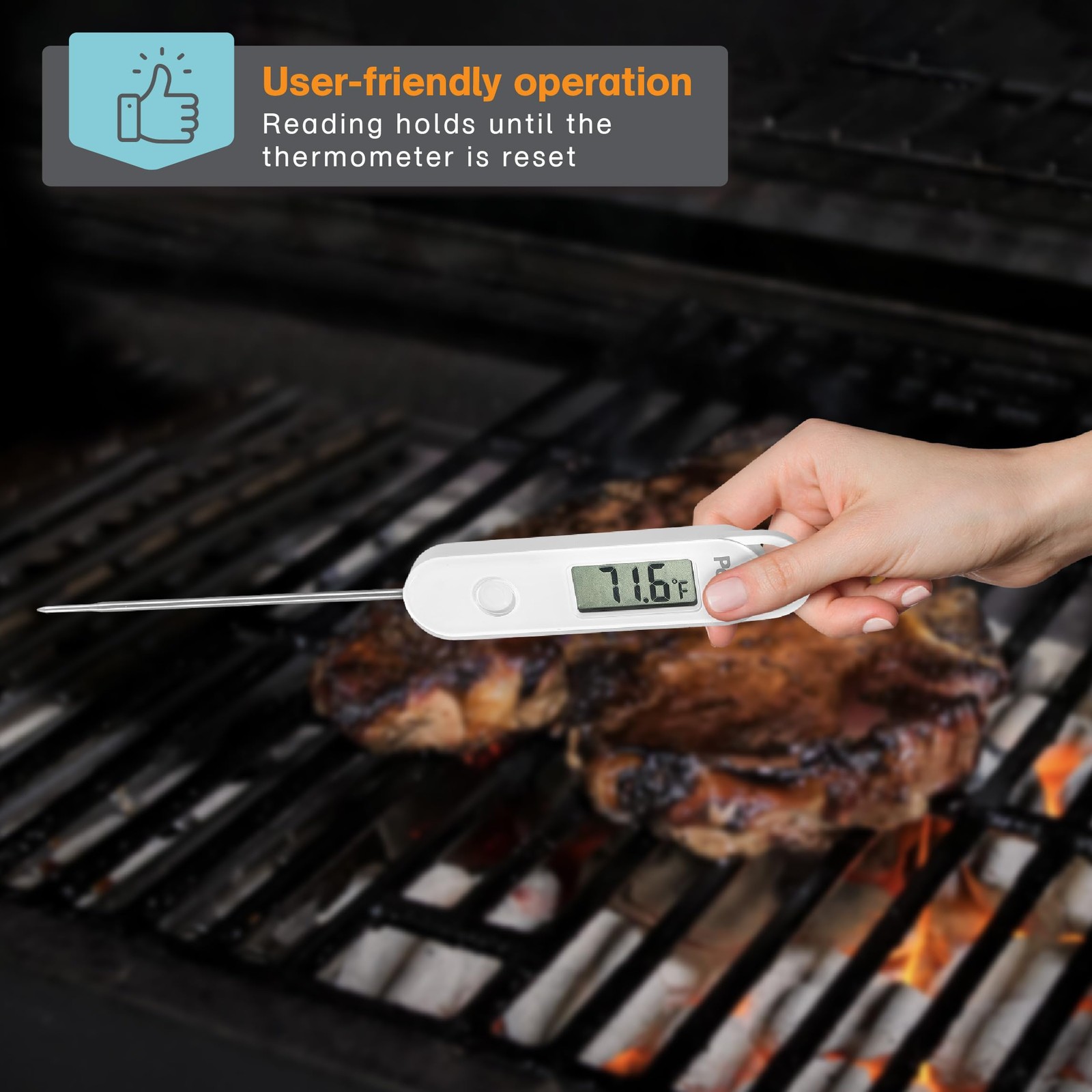 Polder Stable-Read Instant Read Thermometer, Digital Thermometer for Cooking,...