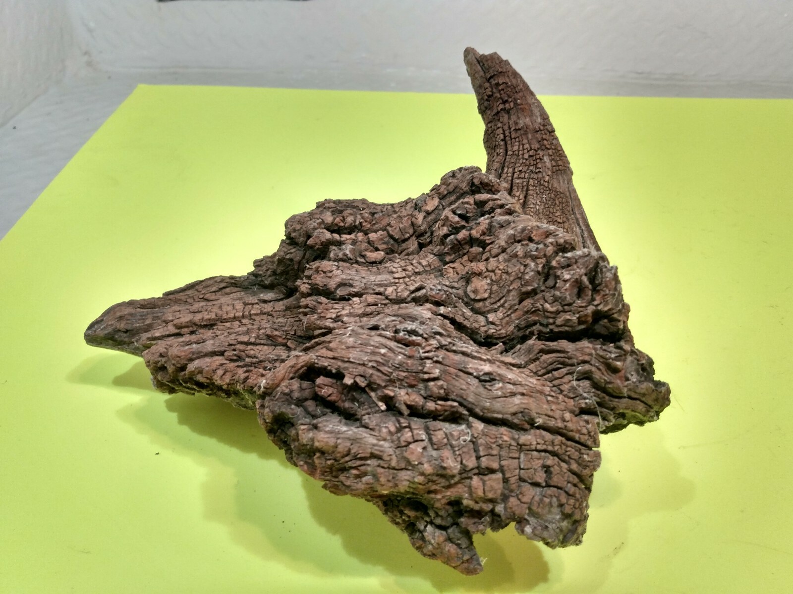 Natural Driftwood Aquarium Terrarium Aquascape Garden Decor Unique Amazing Wood