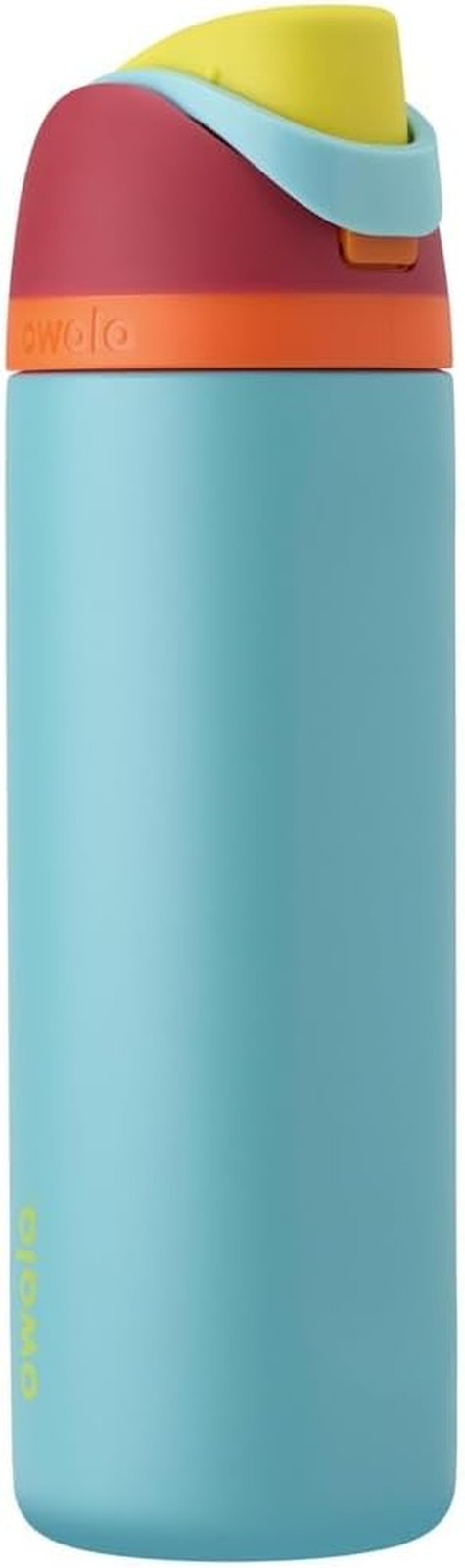 Freesip Insulated Stainless Steel Water Bottle with Straw, Bpa-Free Sports Water