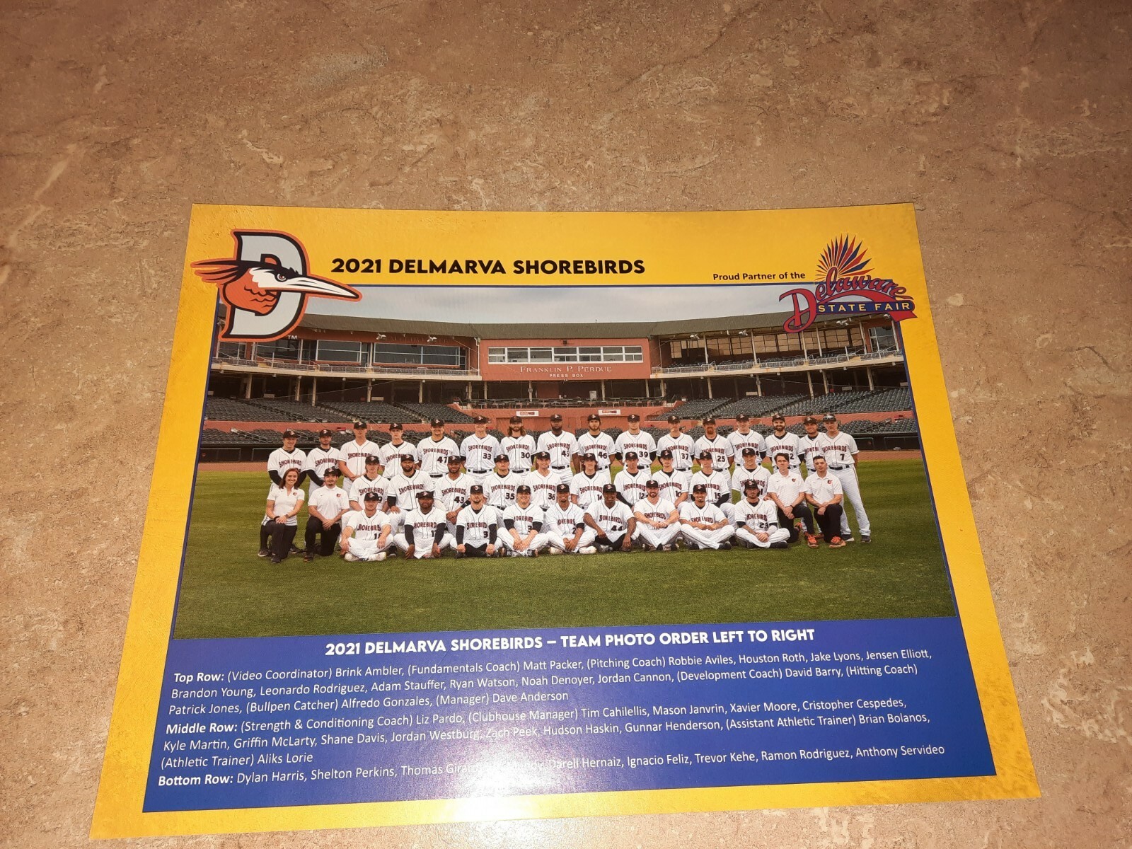 2021 DELMARVA SHOREBIRDS TEAM PHOTO 8x10 SOME TOP PROSPECTS IN THE PHOTO.
