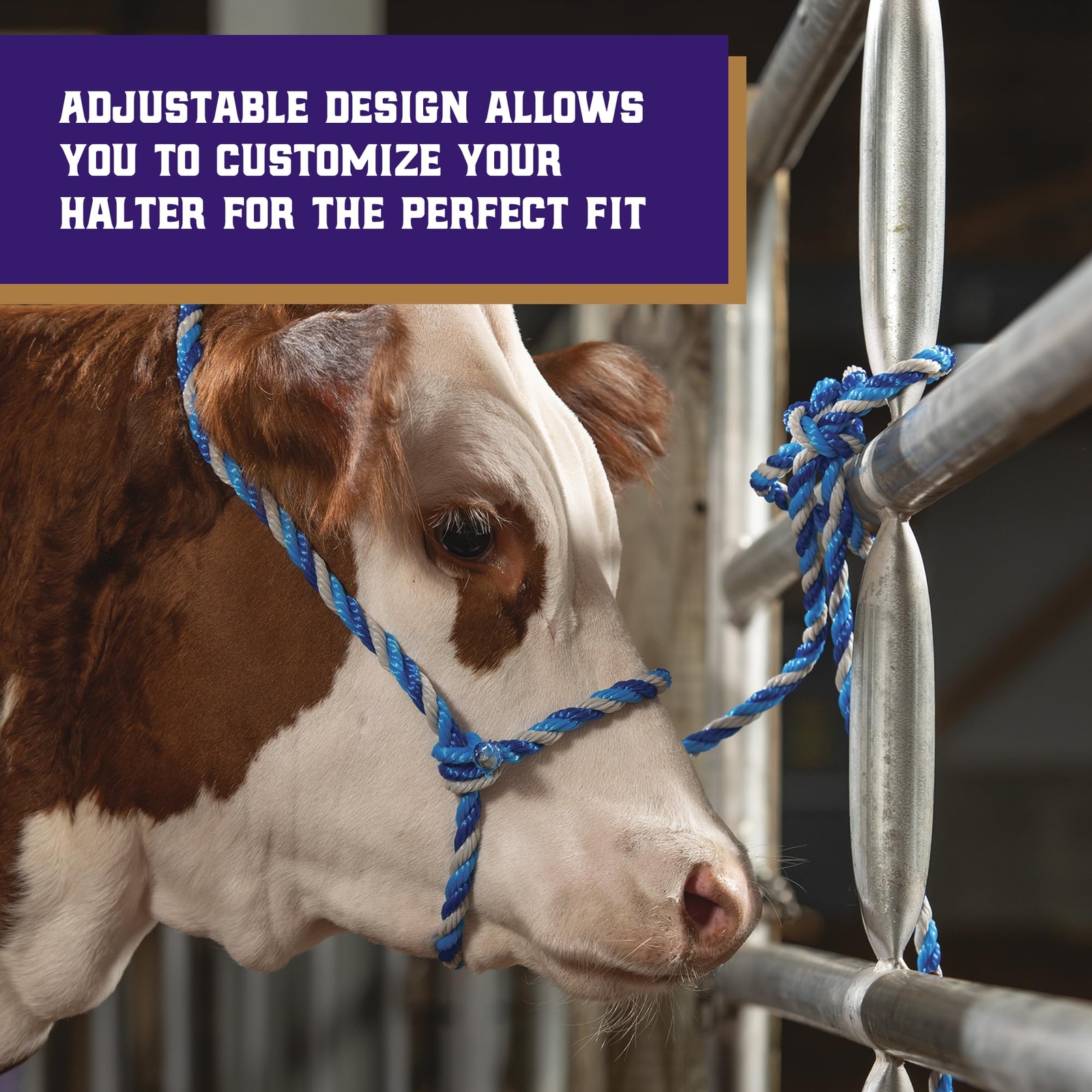 Weaver Livestock Adjustable Multicolored Rope Cattle Halter with 7 Foot Lead