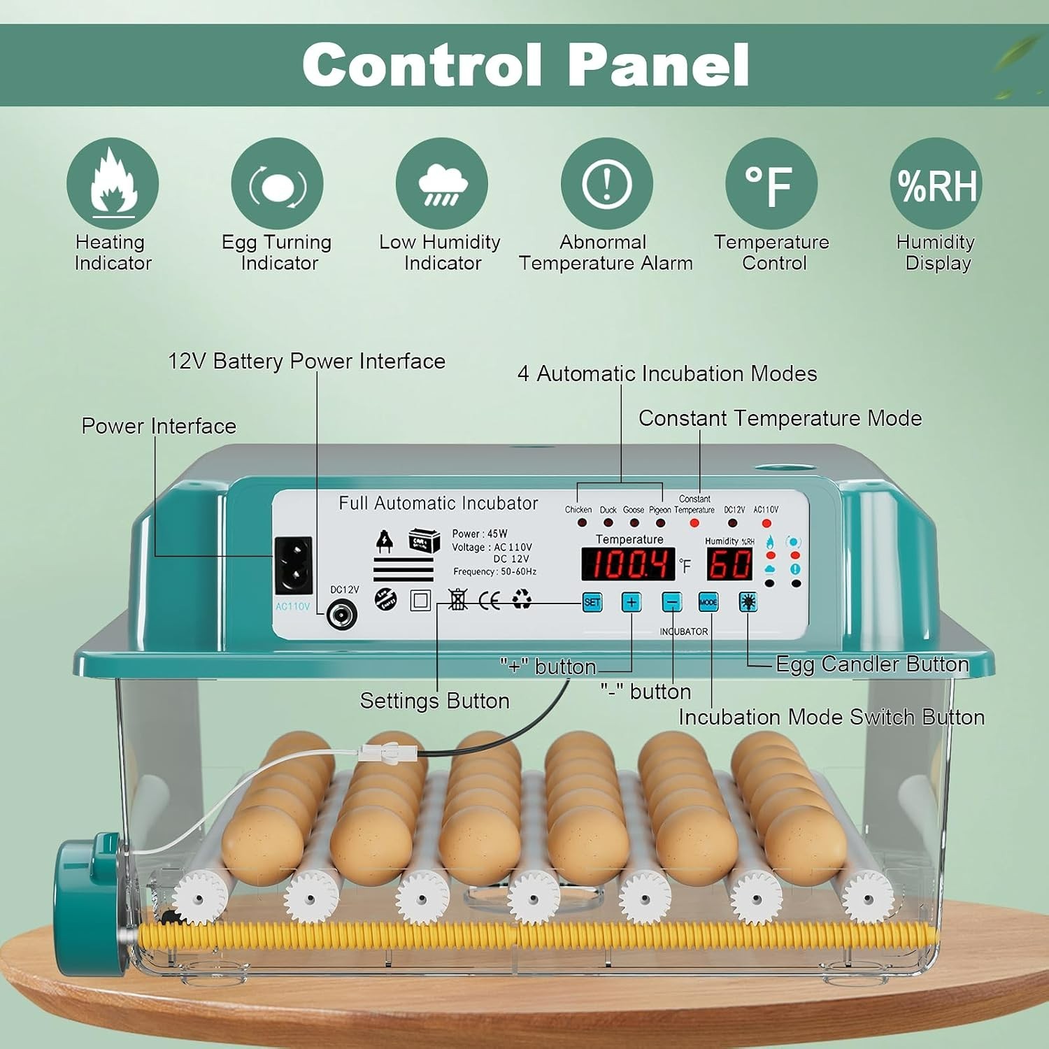 Effortless 36-Egg Incubator: Precision Temperature & Auto-Turning Features