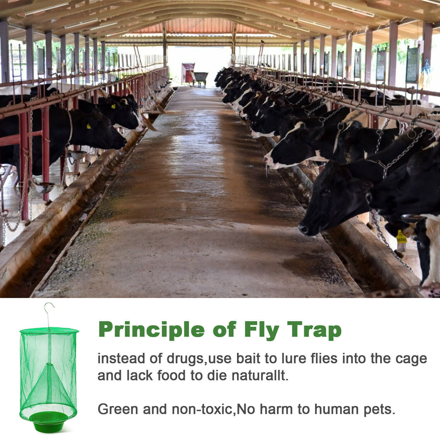 3 x The Ranch Fly Trap Reusable Fly Catcher Killer Cage Net Trap Pest Bug Catch