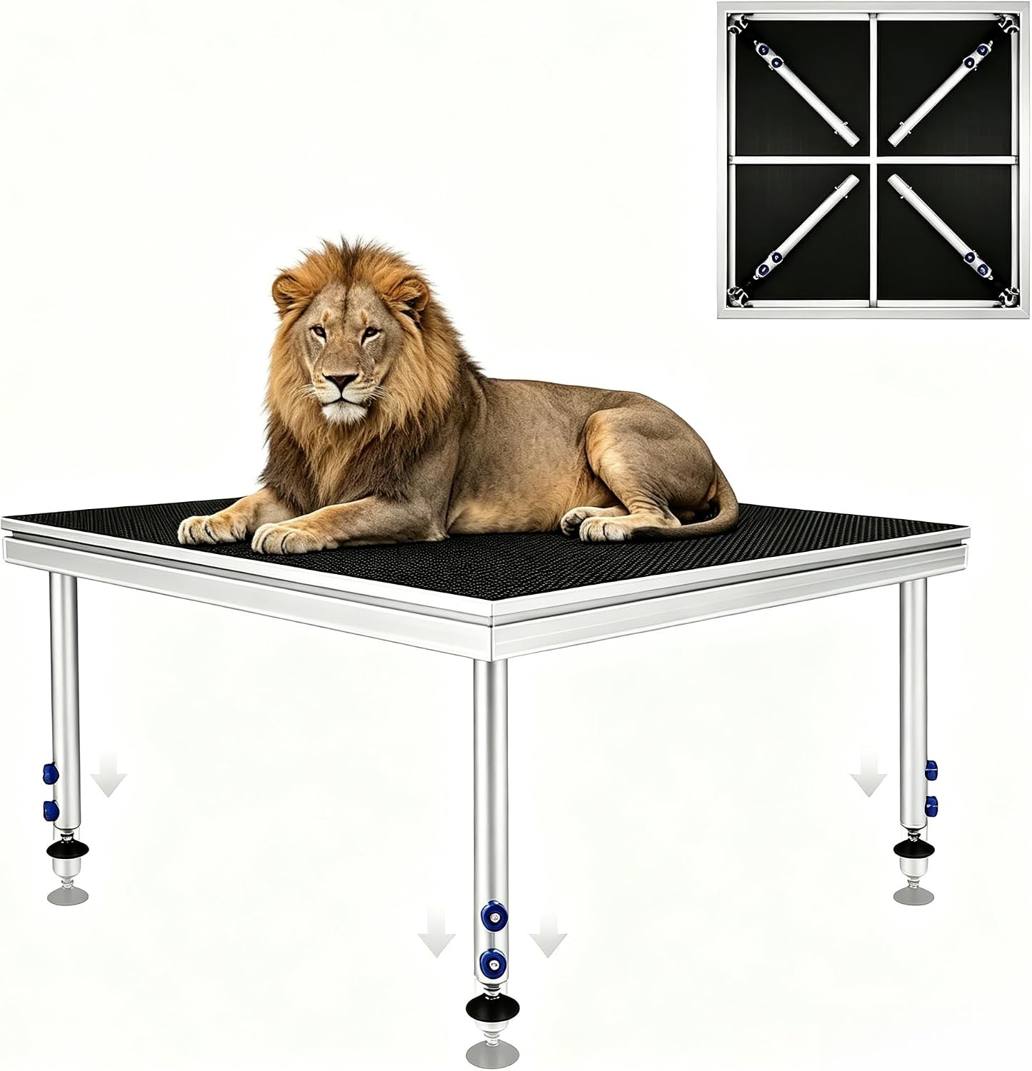 4 *4 ft Portable Stage Platform Modular System Adjustable Height Riser 24" - 40"