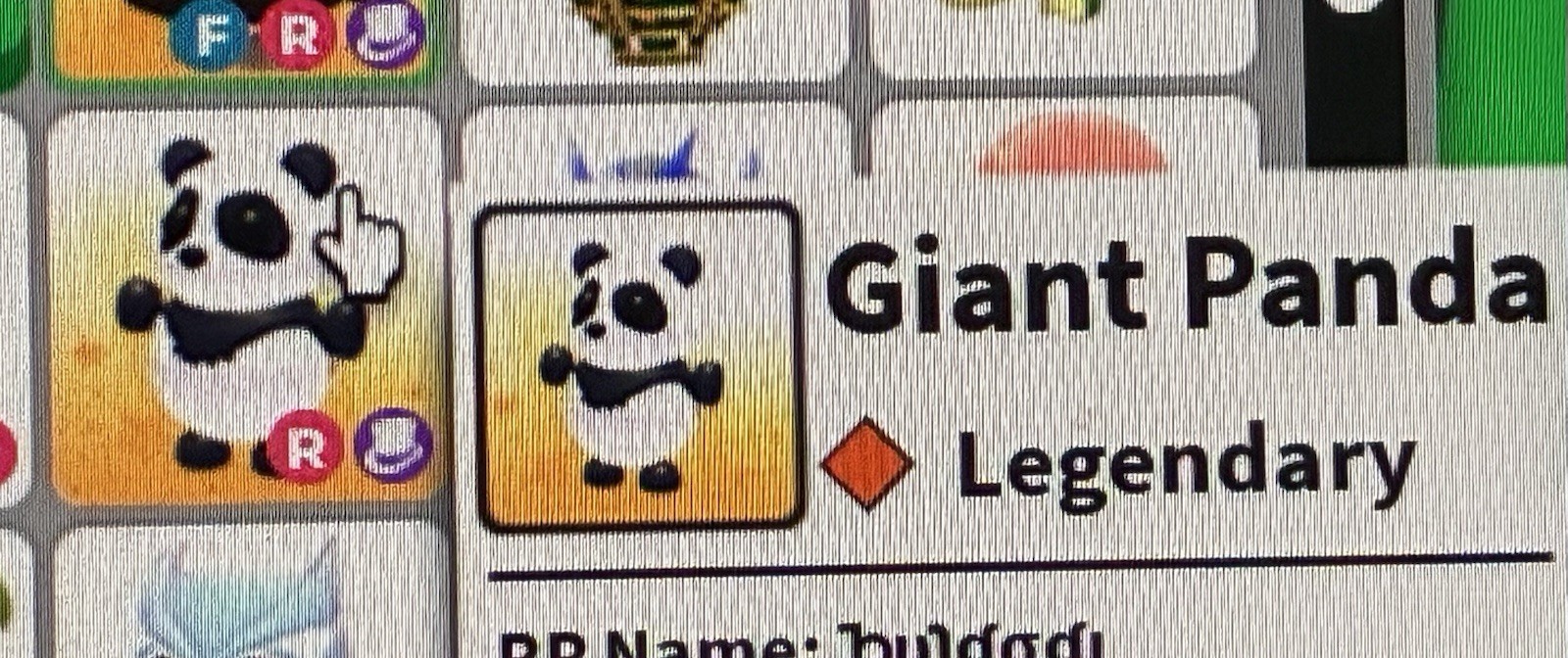 Adopt Me Giant Panda R — CHECK MESSAGES FOR INSTRUCTIONS
