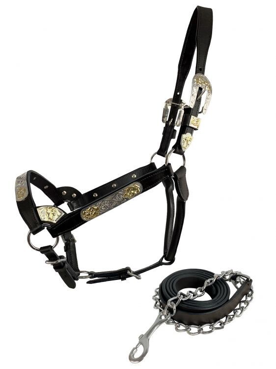 SHOW HALTER Silver Bar with Gold Accents Dark Oil Brown Leather Matching 6' Lead