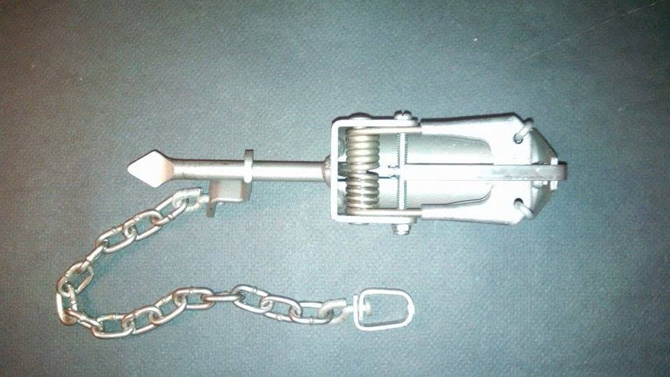BRIDGER  T-3 DOGPROOF RACCOON TRAP: 1 TRAP