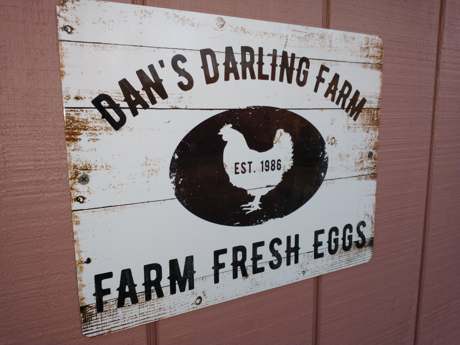 Pre - Order 3+1 Blue Slate Turkey Hatching Eggs - Darling Farm