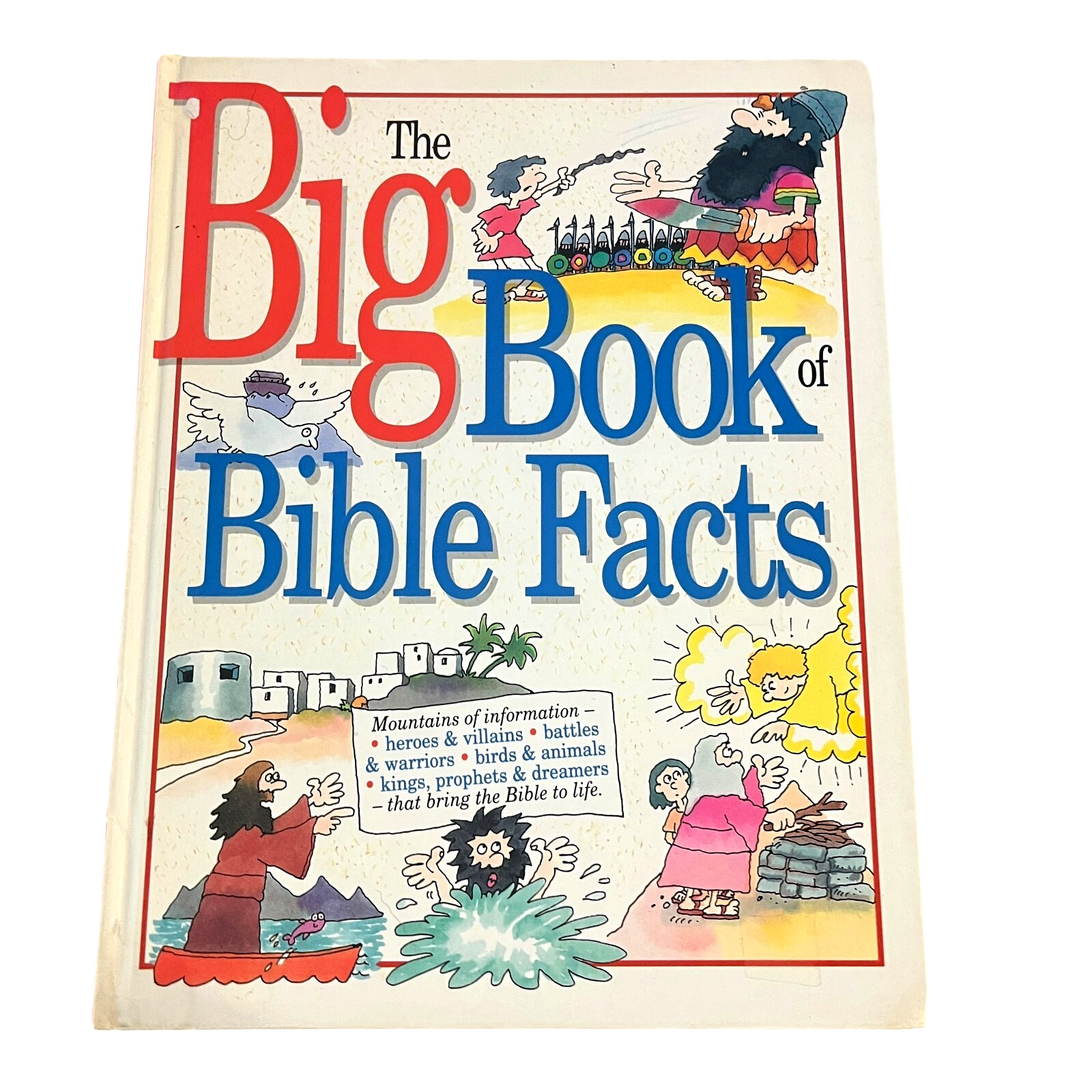 VTG The Big Book of Bible Facts by Pipe, Rhona heros villains battles kings