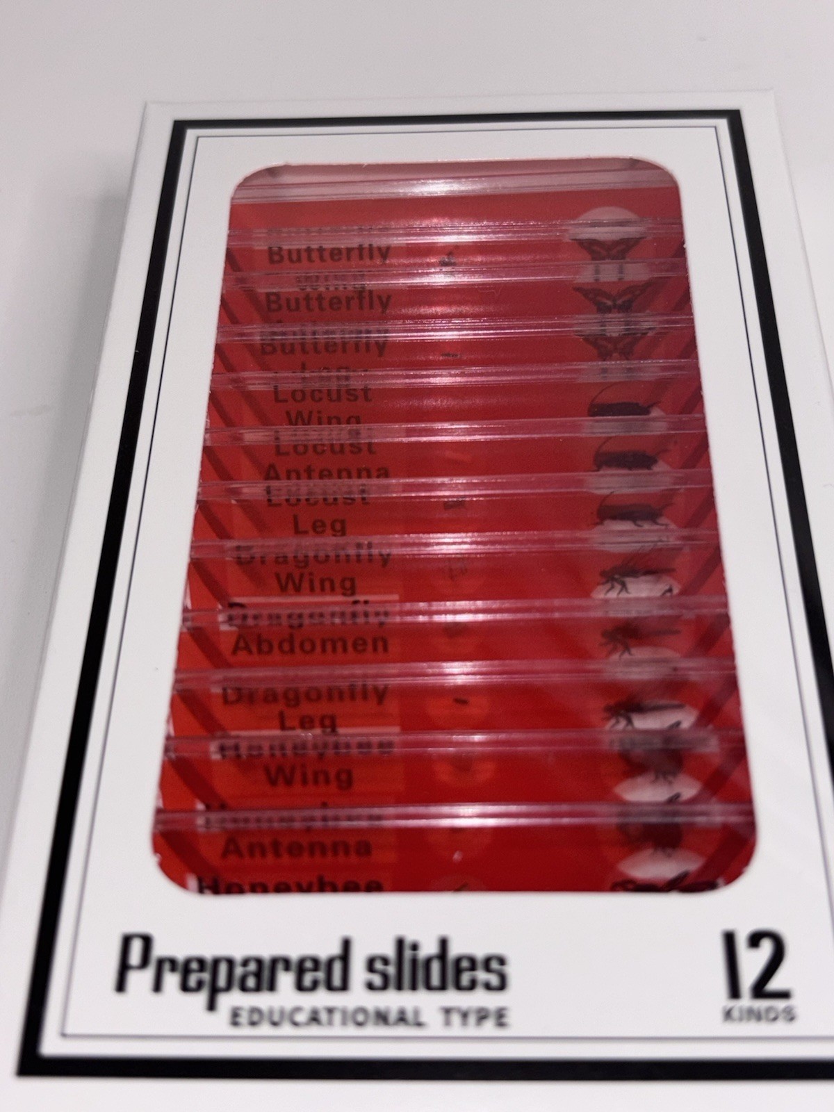Lot of 4 DIY-SCIENCE Prepared Microscope Slides Educational Type 12 Kinds SEALED