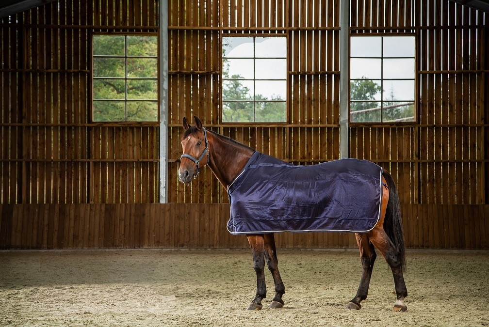 Dion Fly Sheet (Mesh Rug)