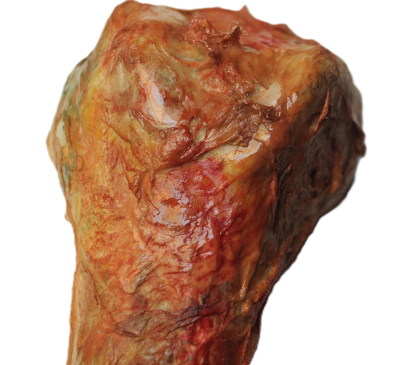Bridgewater Triangle Human Femur Sci-Fi Horror Prop Hand Painted