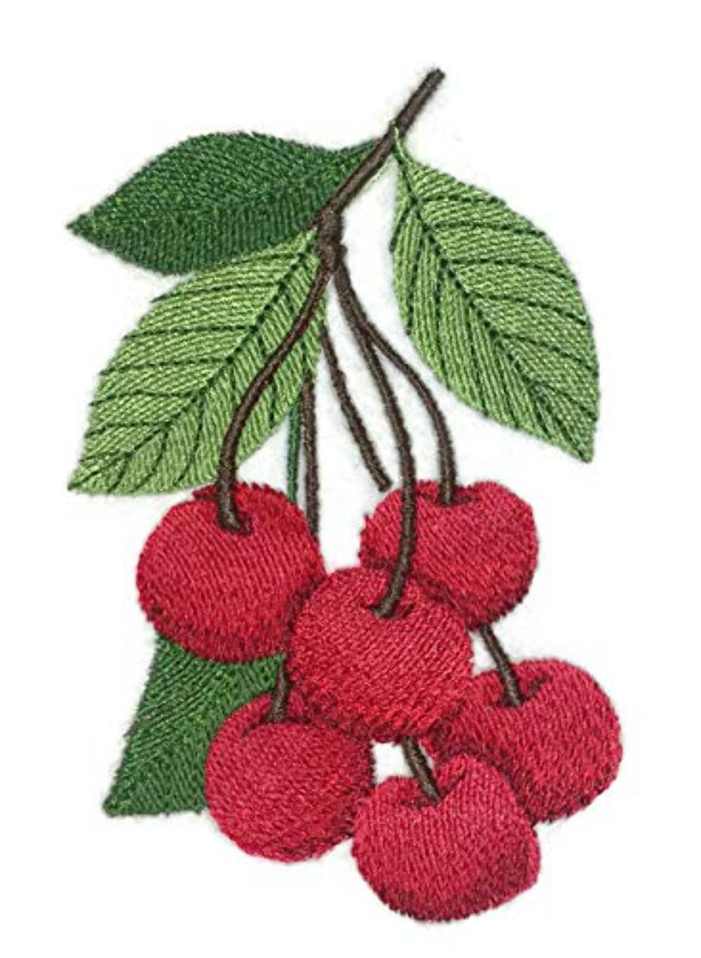 Nature Weaved in Threads, Amazing Fruits [Cherries ] [Custom and Unique] Embroid