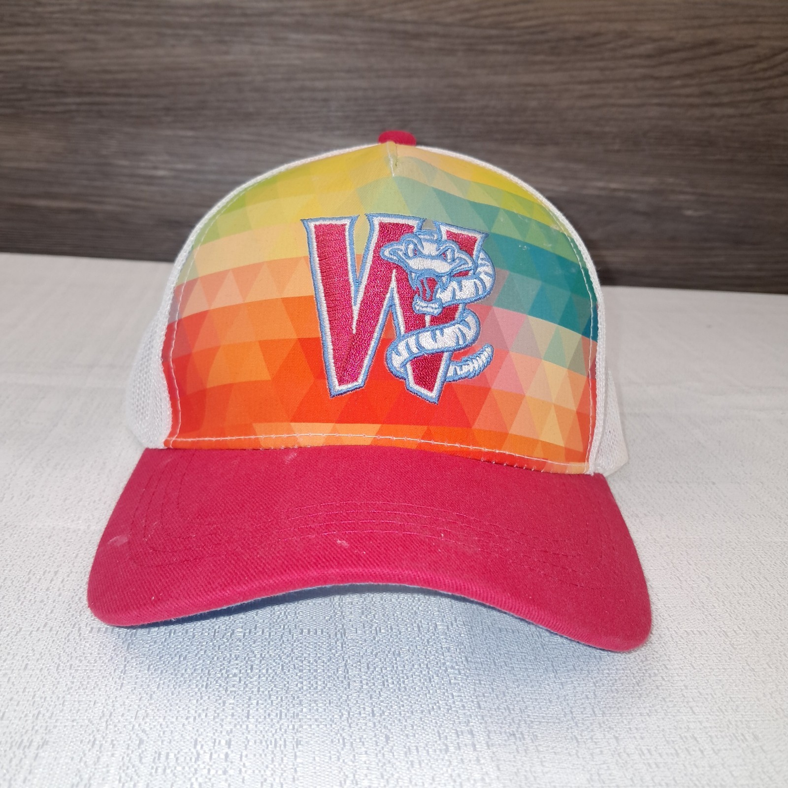 Wisconsin Timber Rattlers Multicolor Segmented Youth Adjustable Hat