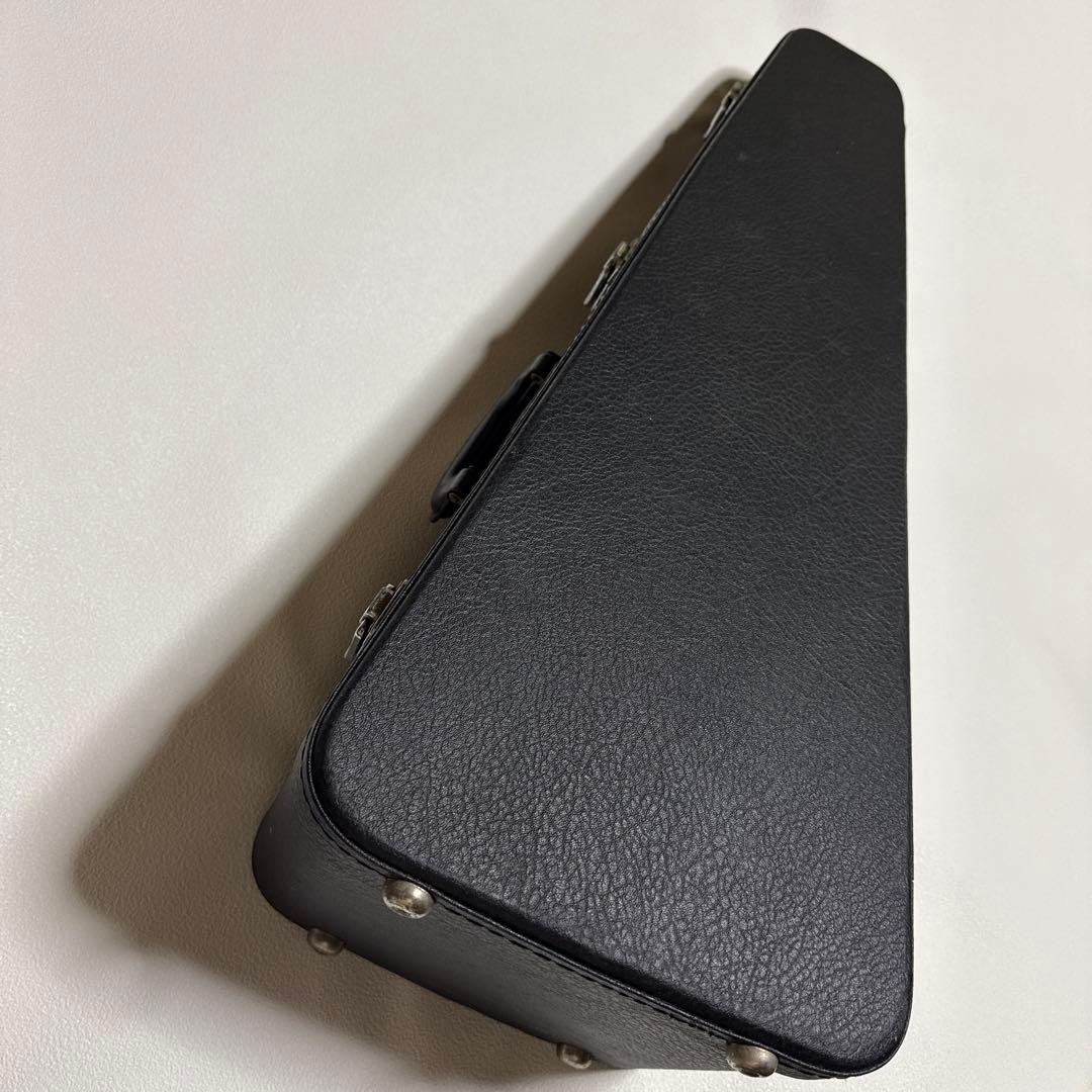mandolin case