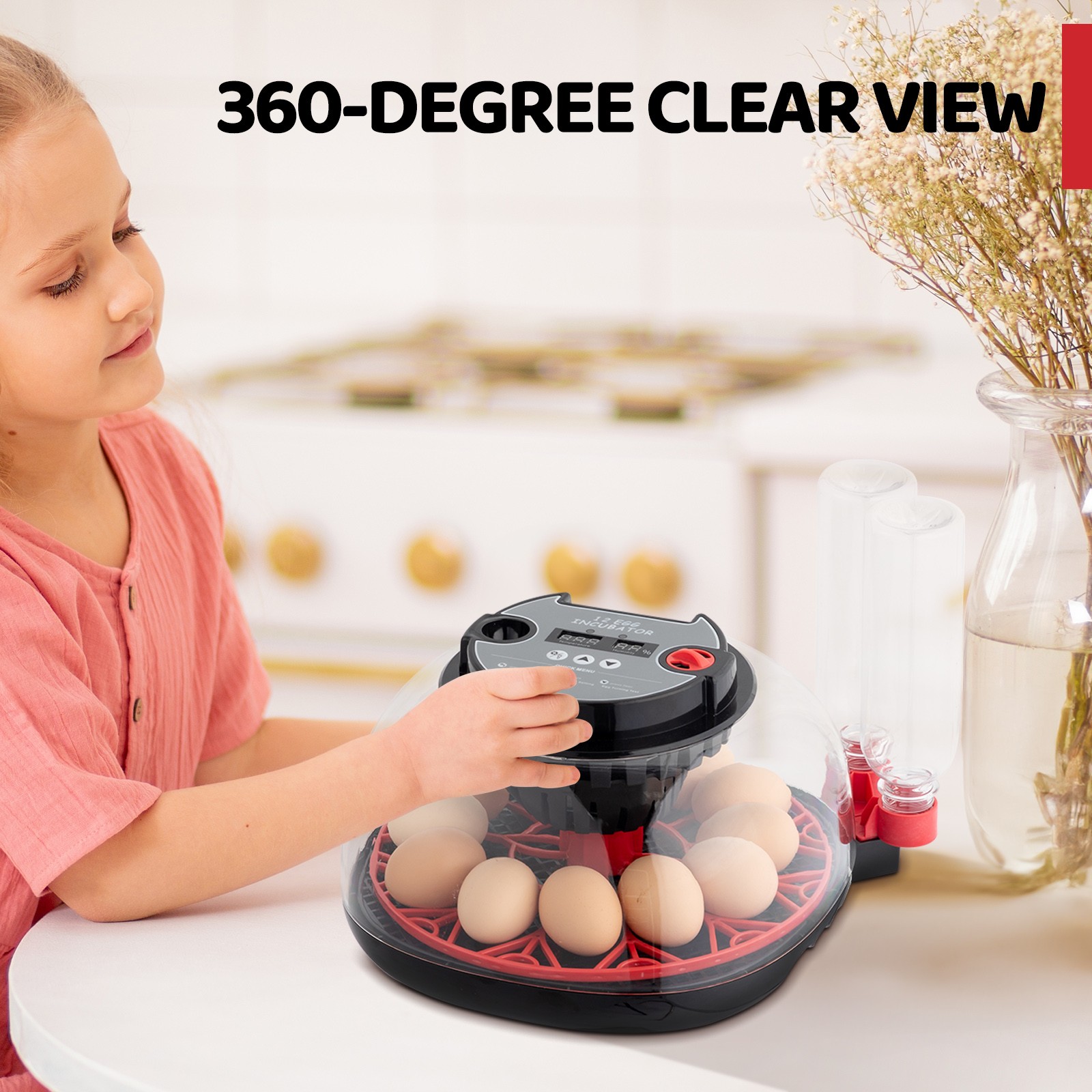 12 Eggs Incubator with Automatic Egg Turning for Hatching Chicken Ducks Eggs