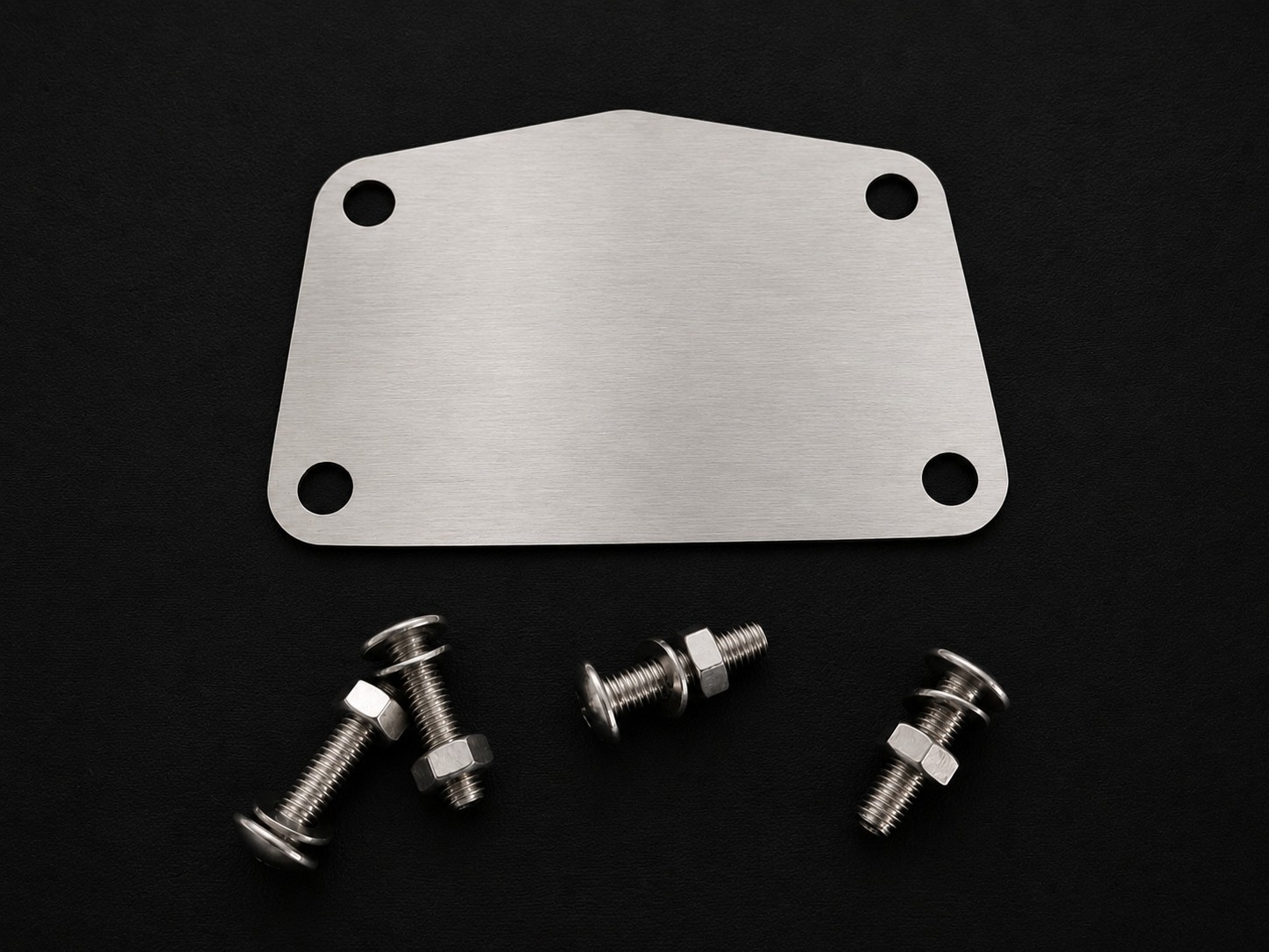 TAMA Bass Drum Delete / Blanking / Cover / Masking Plate SS304