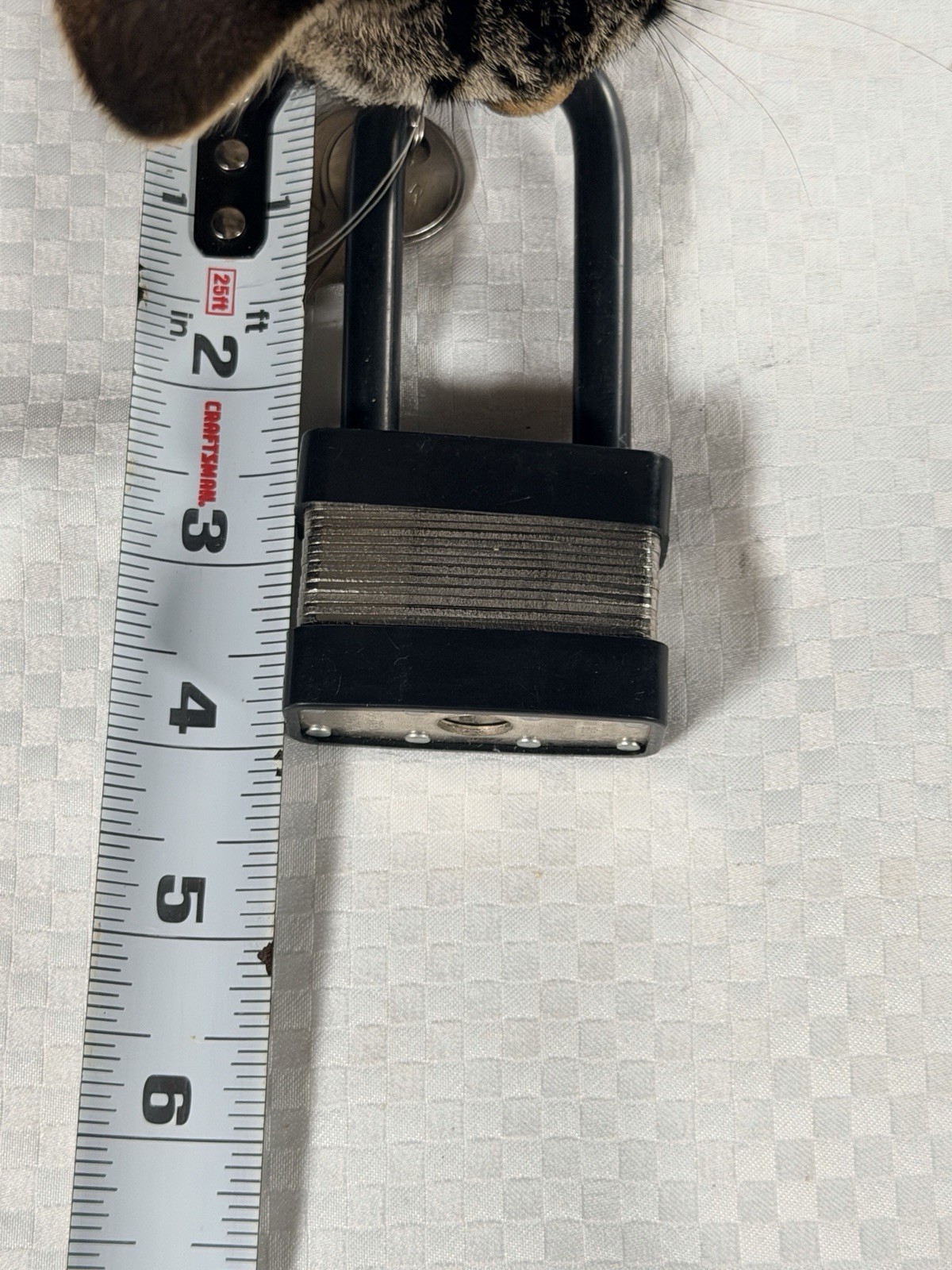 Ruger Gun Safety Bicycle Padlock Action Lock