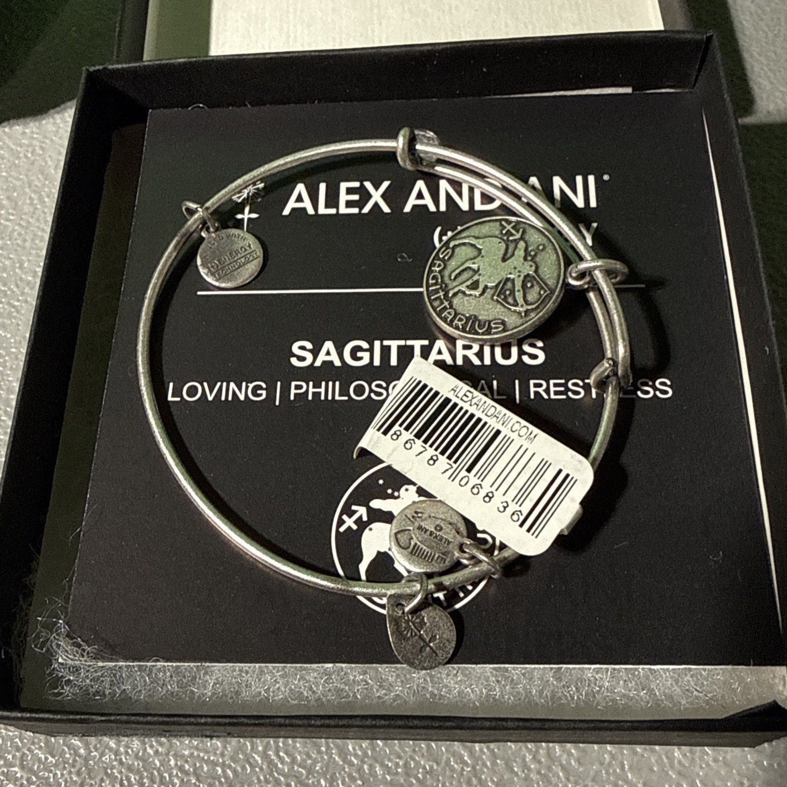 Alex And Ani Sagittarius Zodiac ~ Bangle Silver Tone Wire bangle CHARM BRACELET