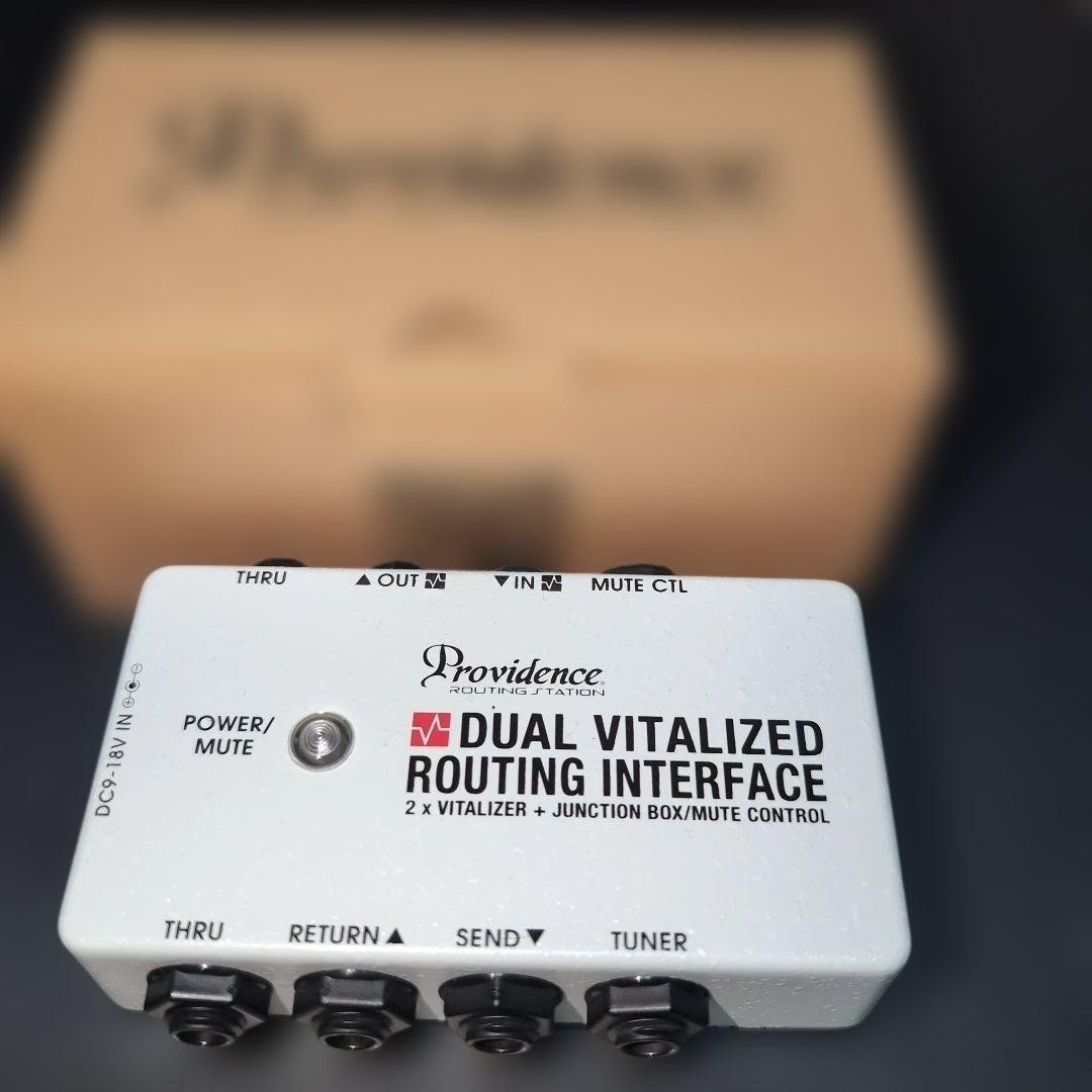 DUAL VITALIZED ROUTING INTERFACE DVI-1M 791720