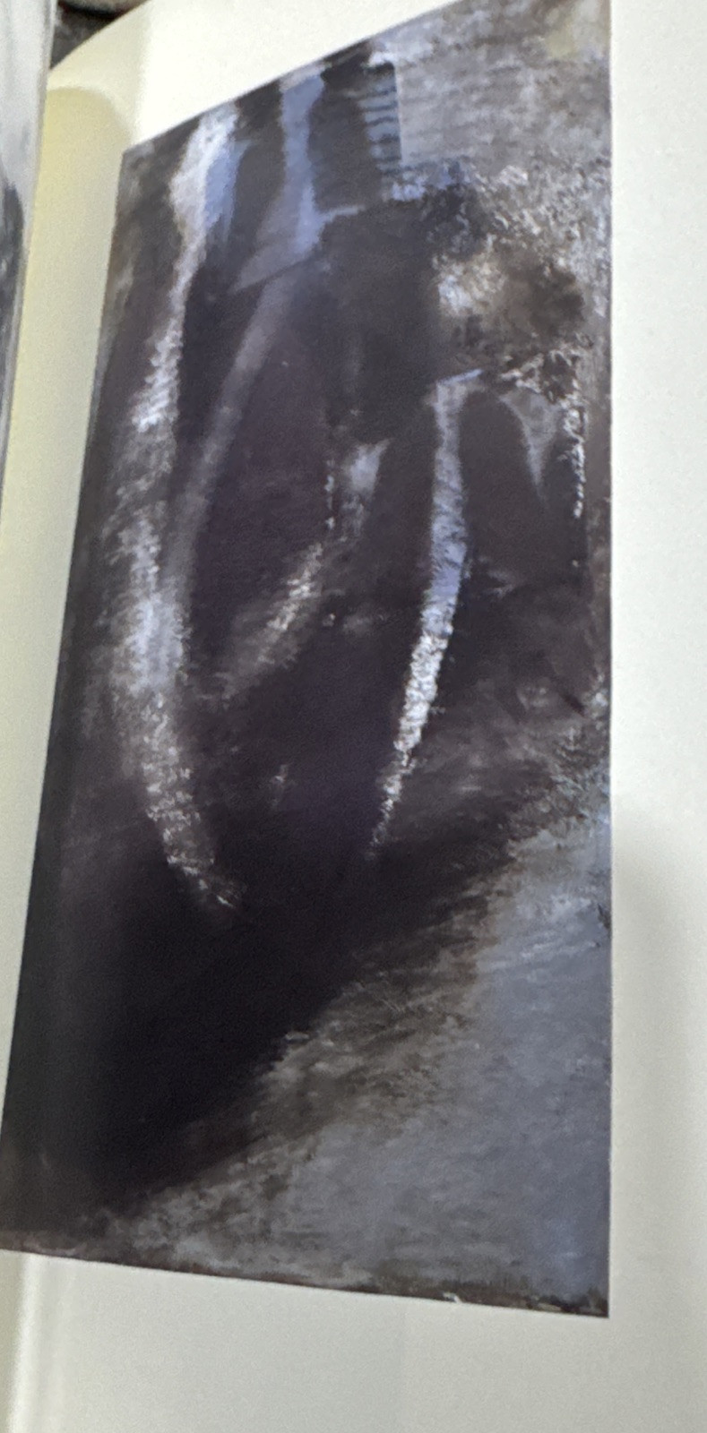 Julia Lohmann Art Catalog