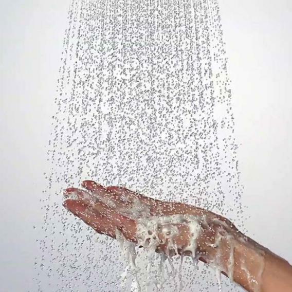 Hansgrohe Raindance Select S120 3jet EcoSmart Hand Shower - Peter Sagon