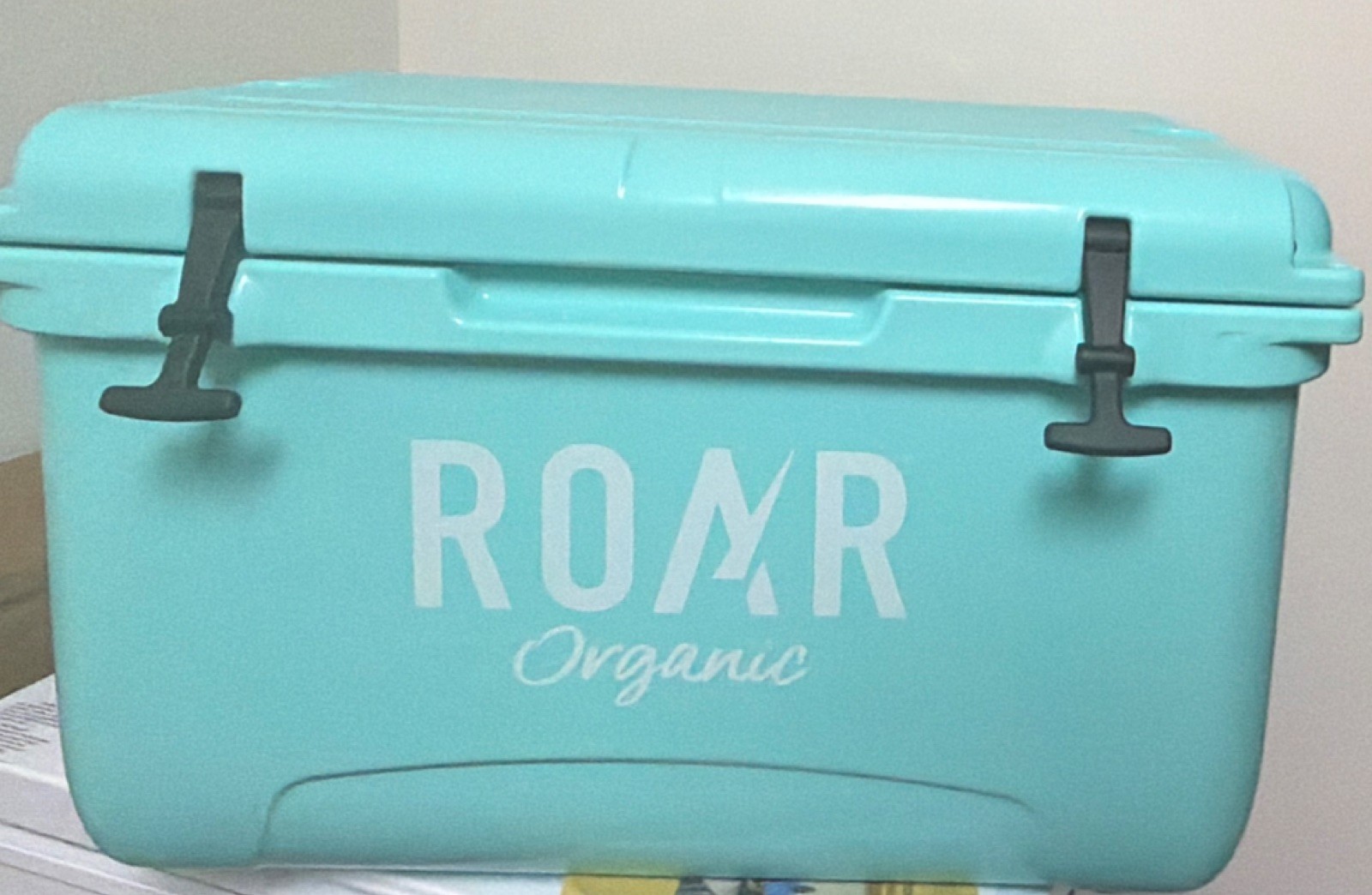 ROAR Organic Light Blue Plastic Cooler Box with Locking Lid