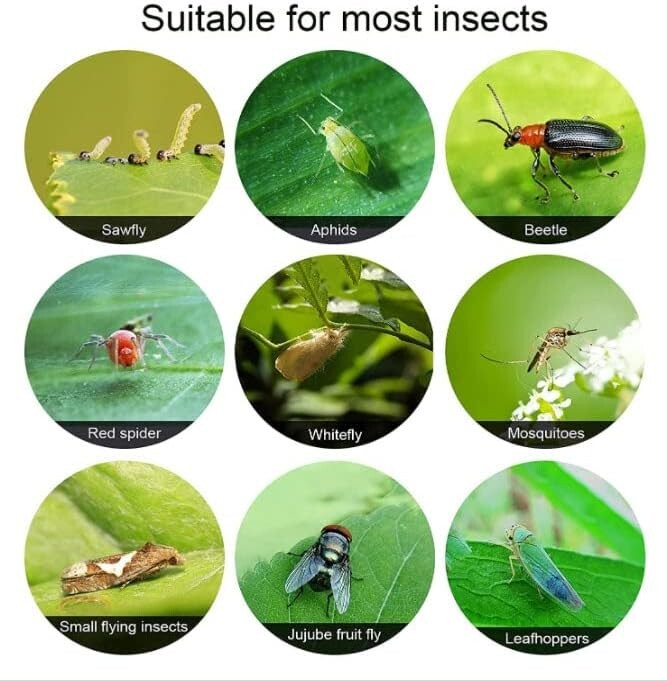 STICKY THRIP LEAFMINER TRAP 5 Count Control Pests Long Lasting Weatherproof