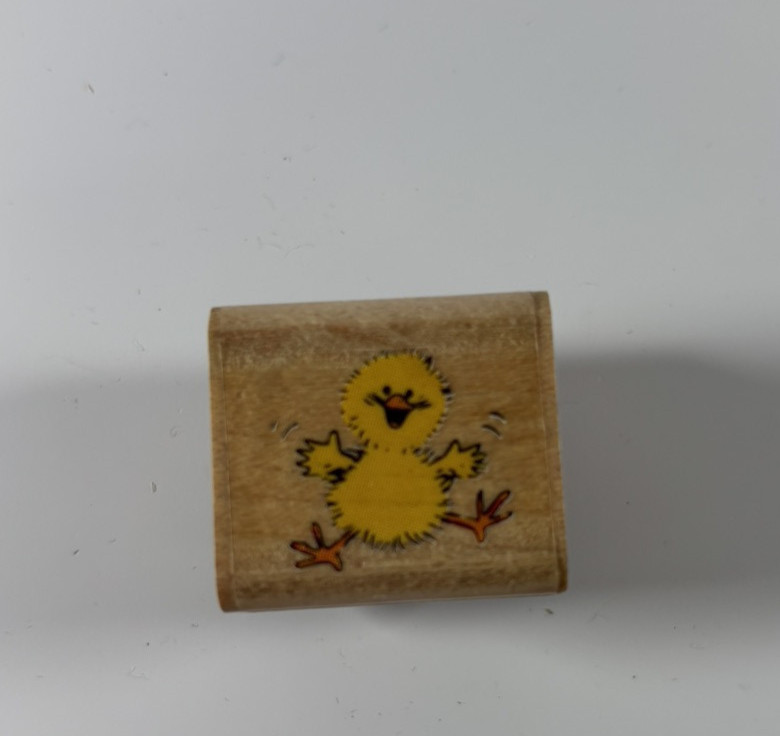 Warm Fuzzy Wishes Chick Suzy's Zoo Rubber Stamp from Rubber Stampeded