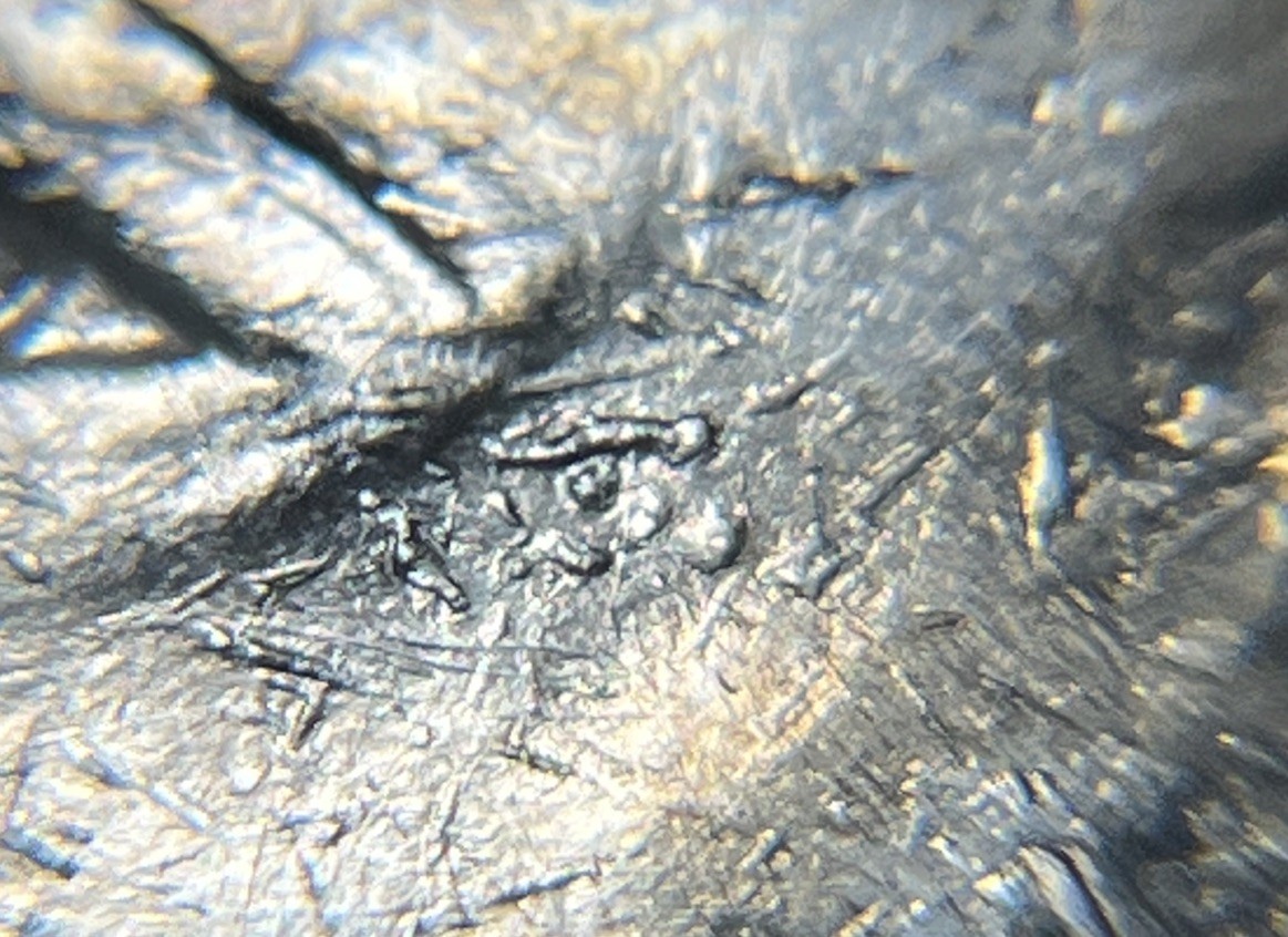 1971 D Eisenhower Dollar Errors Strike Through Grease Die Cracks Many Errors