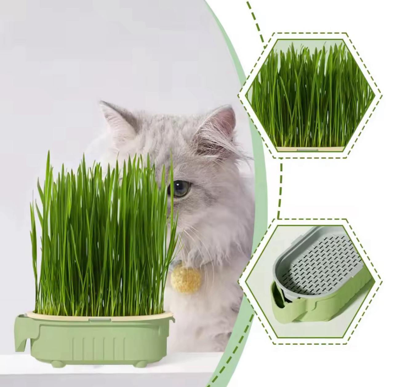 Cat Grass Planter Hydroponic Growing Tray Indoor Soilless Plant Box