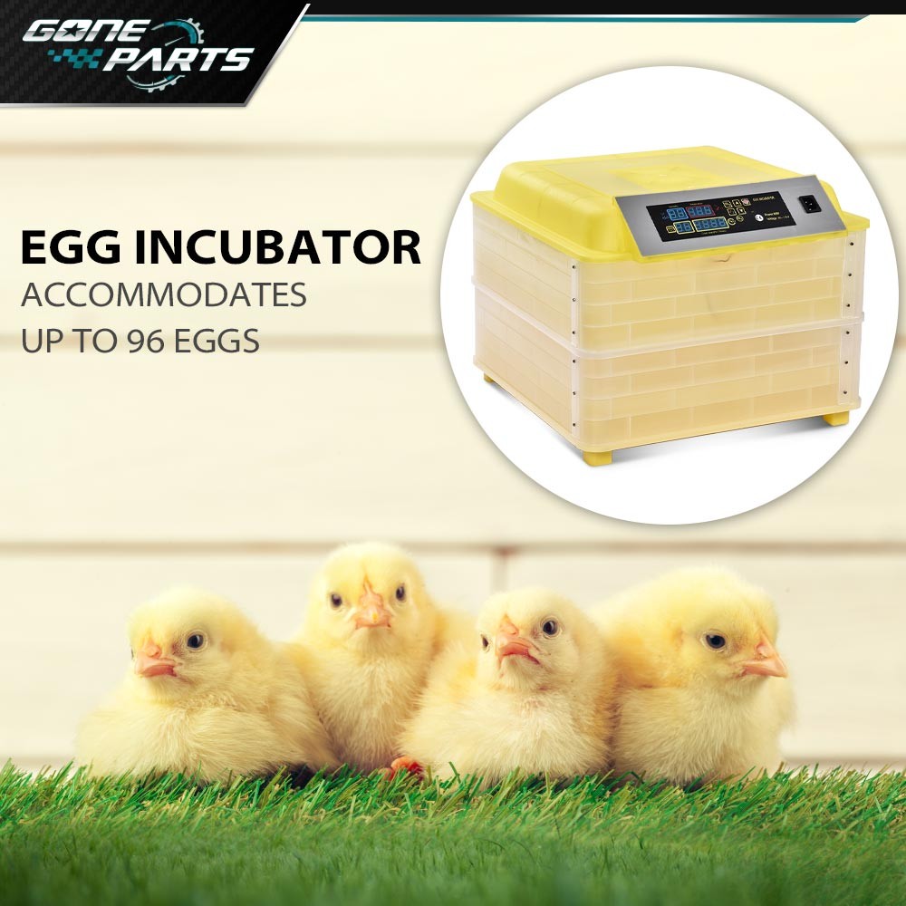 New Digital Hatcher Breed Warmer Auto Temperature Control 96 Grid Incubator