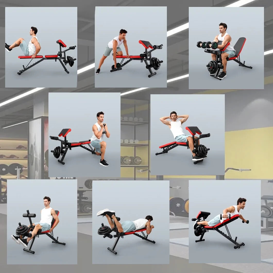 800LBS Adjustable Foldable Weight Bench Home Gym Strength Training Workout Bench