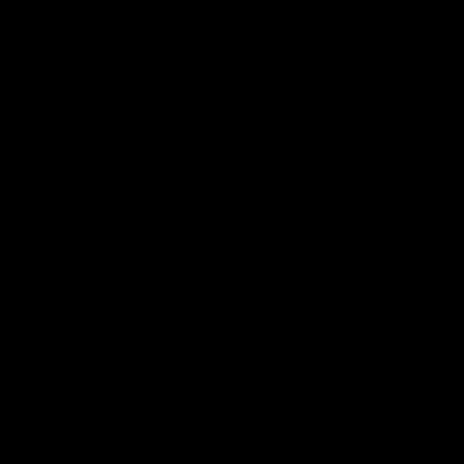Paint Brilliant Black Pearl 8 oz EBCC04277 Perfect Match