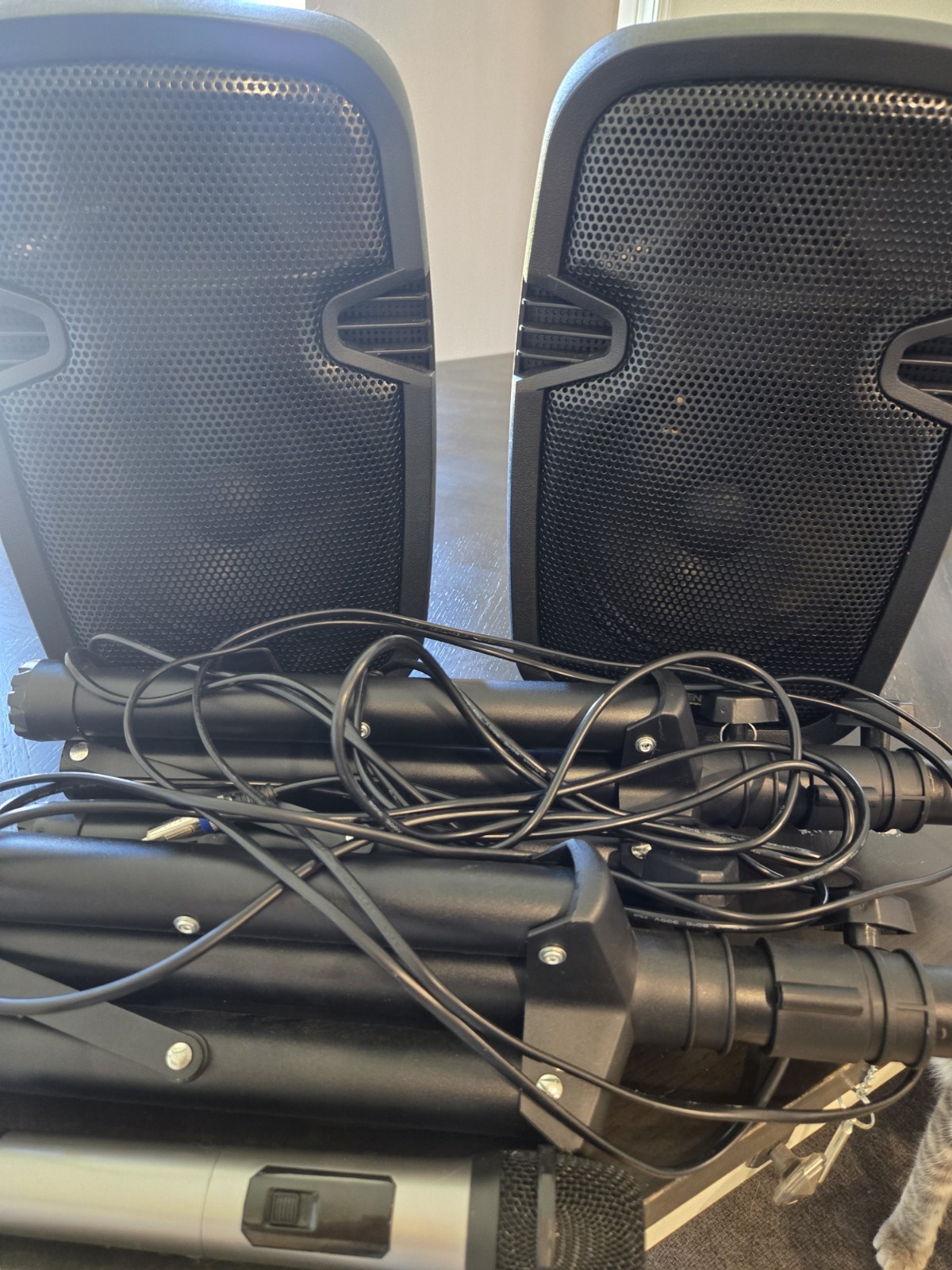 BOWENS SS1010 Karaoke Speaker Set USB AUX Echo, 2 Wired Mics, Stands/Cables