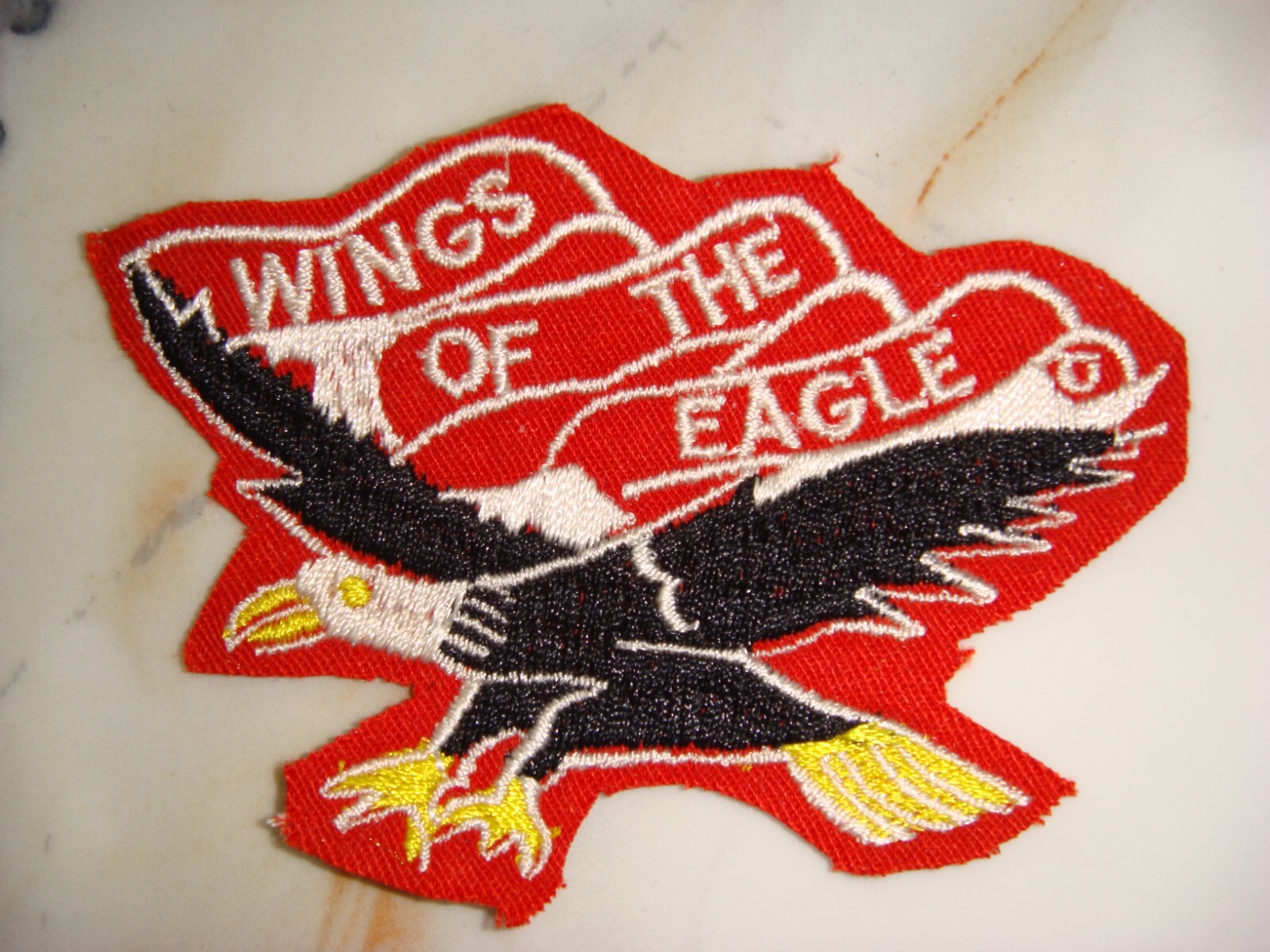 US 101st AIRBORNE DIVISION " WINGS OF THE EAGLE ", VIETNAM WAR PATCH