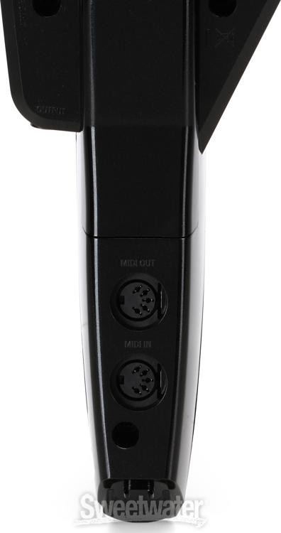 Roland Aerophone Pro AE-30 Digital Wind Instrument - Silver