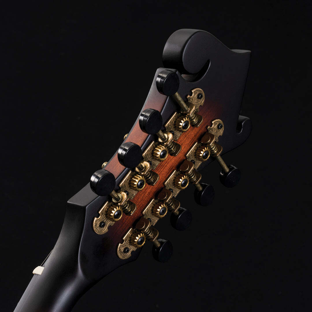 Washburn M108S - Mandolin