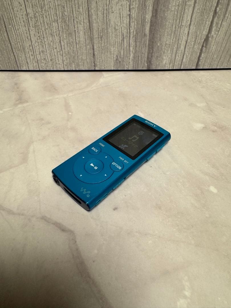 Sony Walkman NW-E062 2GB Digital Audio Player