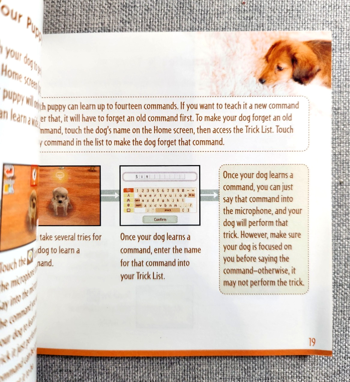 Nintendogs Instruction Manual Only - Nintendo DS