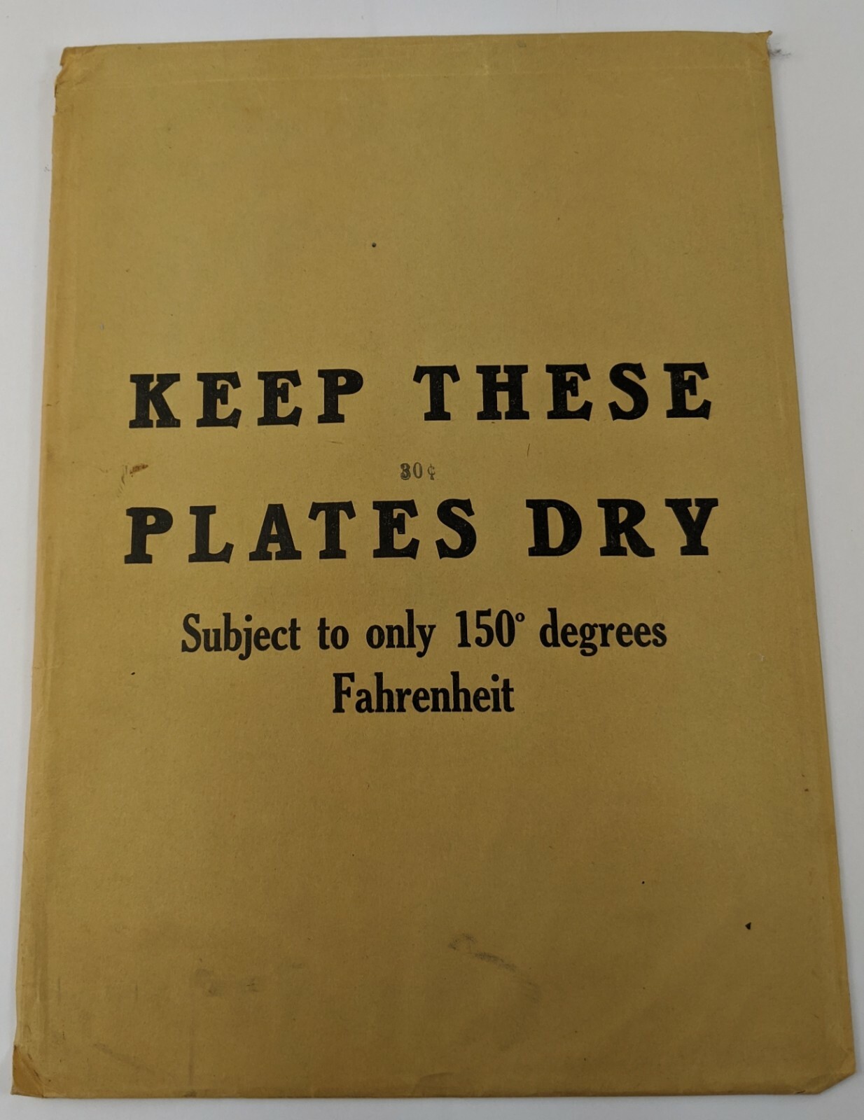Vintage Photograph Photo Plate 10x14 Black Finish