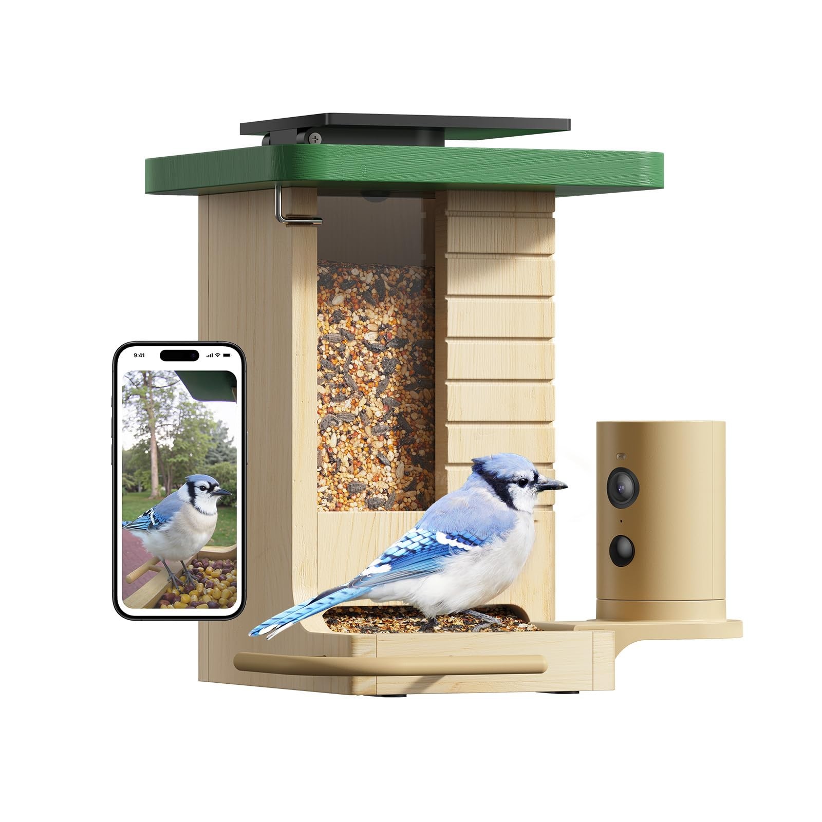 Birdfy Smart Bird Feeder with Camera Solar Powered, Night original wood